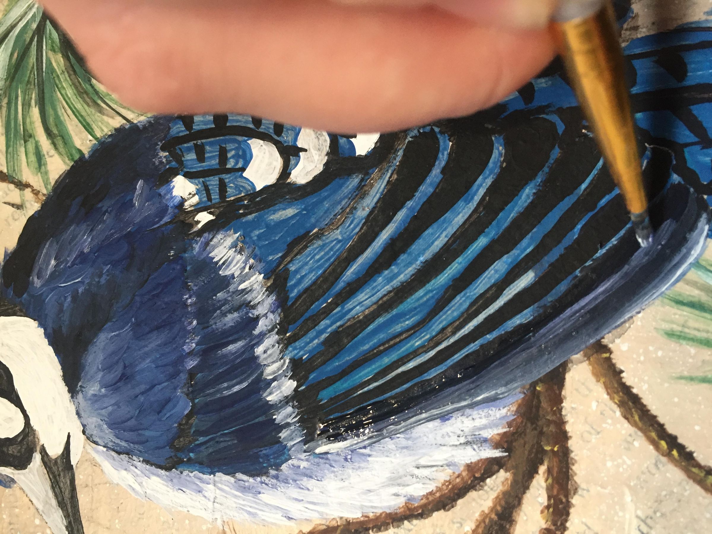 How to Paint a Blue Jay on a Branch. 13 Steps (with Pictures