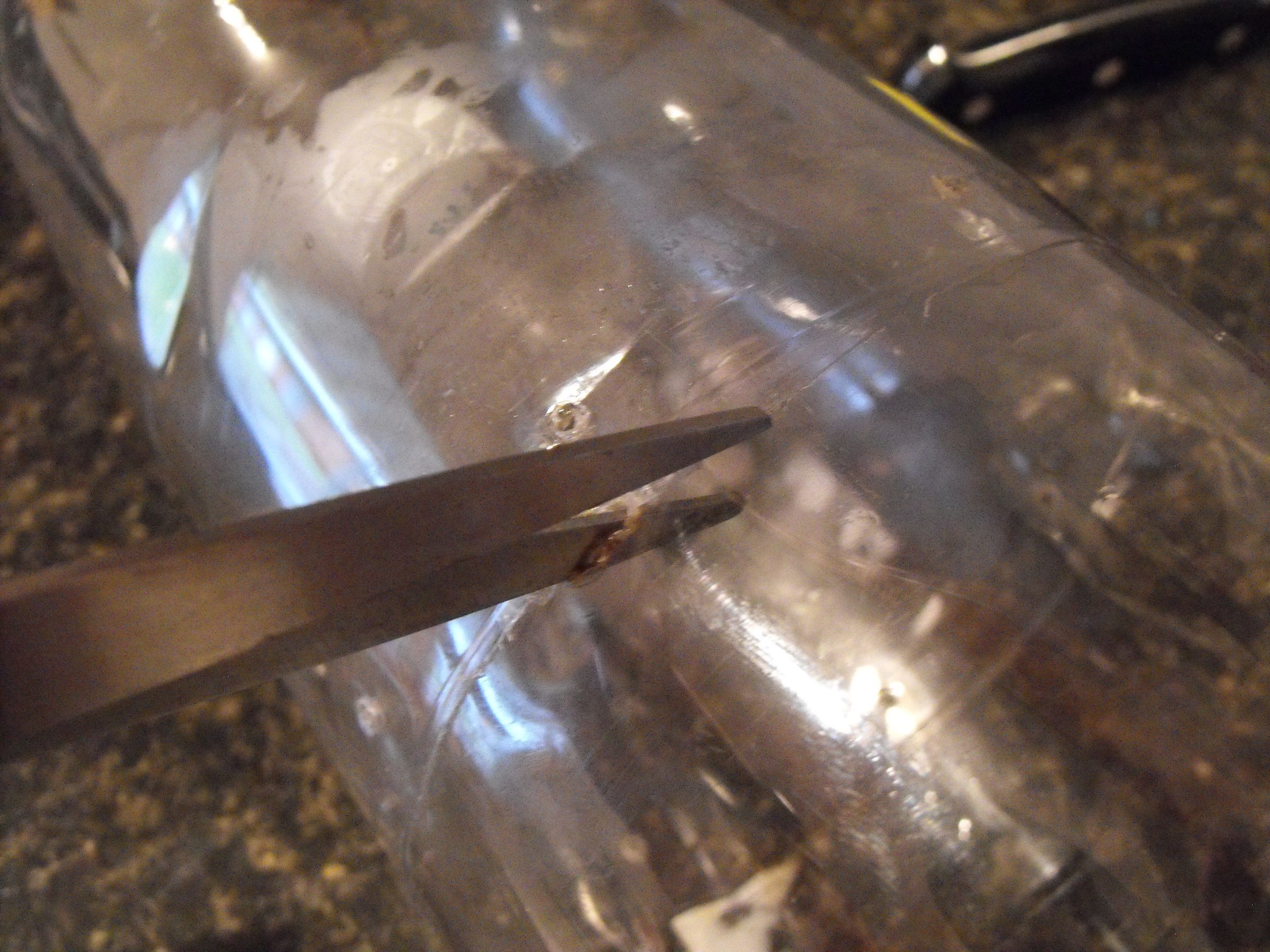 How to Make a Minnow Trap Out of Soda Bottles 6 Steps (with Pictures