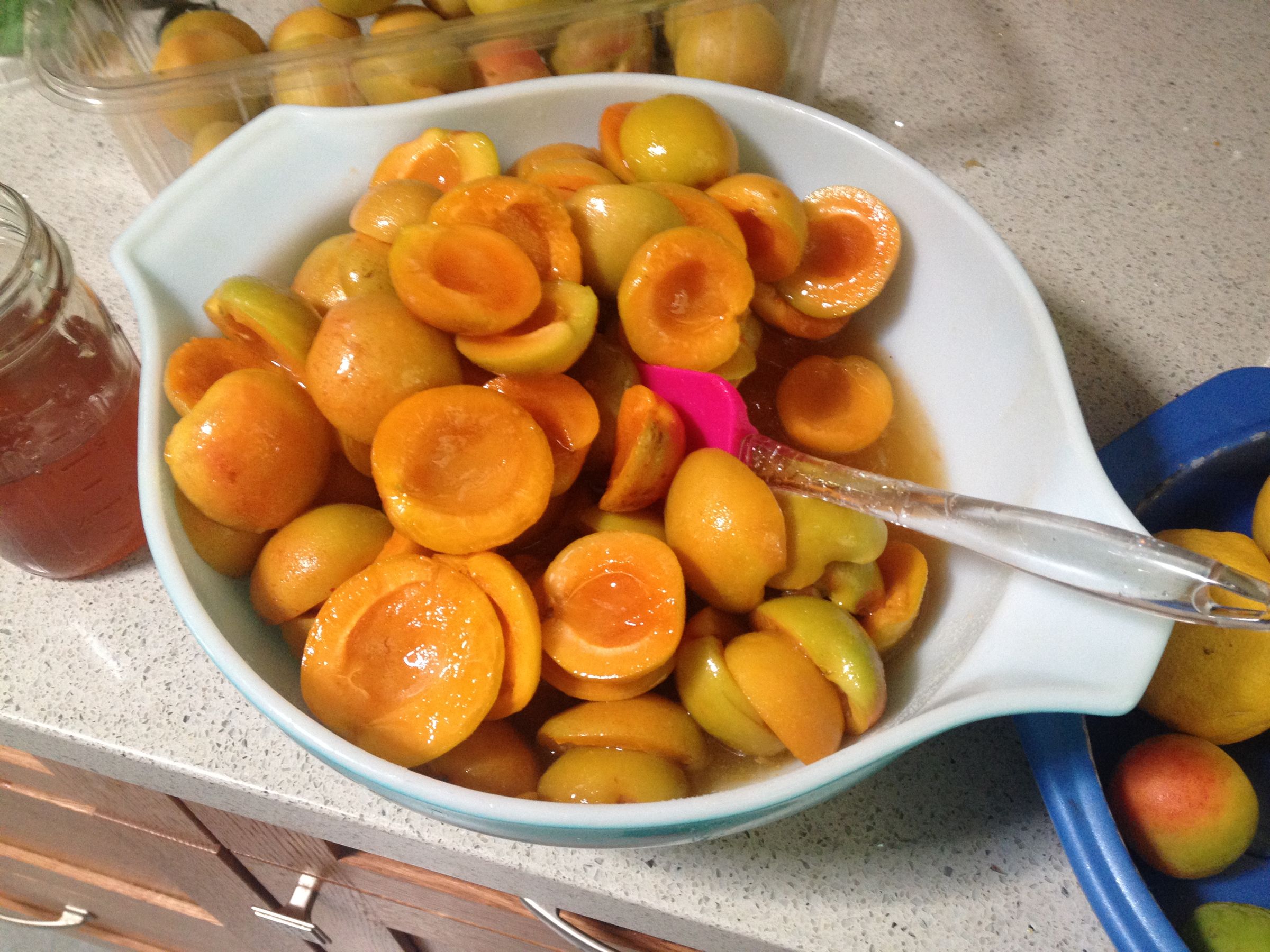 Honey Apricots 3 Steps Instructables