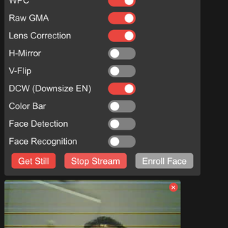 Getting Started With ESP32 CAM | Streaming Video Using ESP CAM Over ...