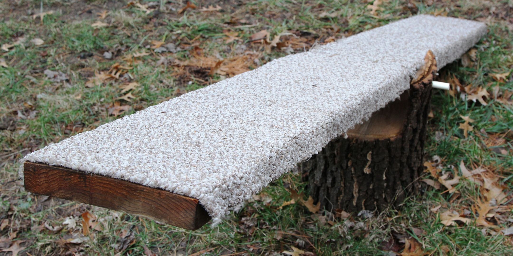 Dog Agility Teeter Totter 3 Steps (with Pictures) Instructables