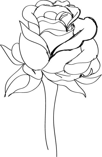 How To Draw A Red Rose 9 Steps Instructables How To Draw A Red Rose 9 Steps Instructables