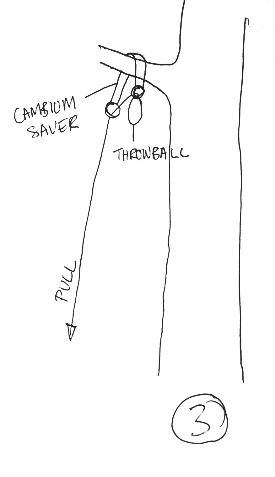 How to Get a Rope Into a Tree (without Climbing It) 6 Steps