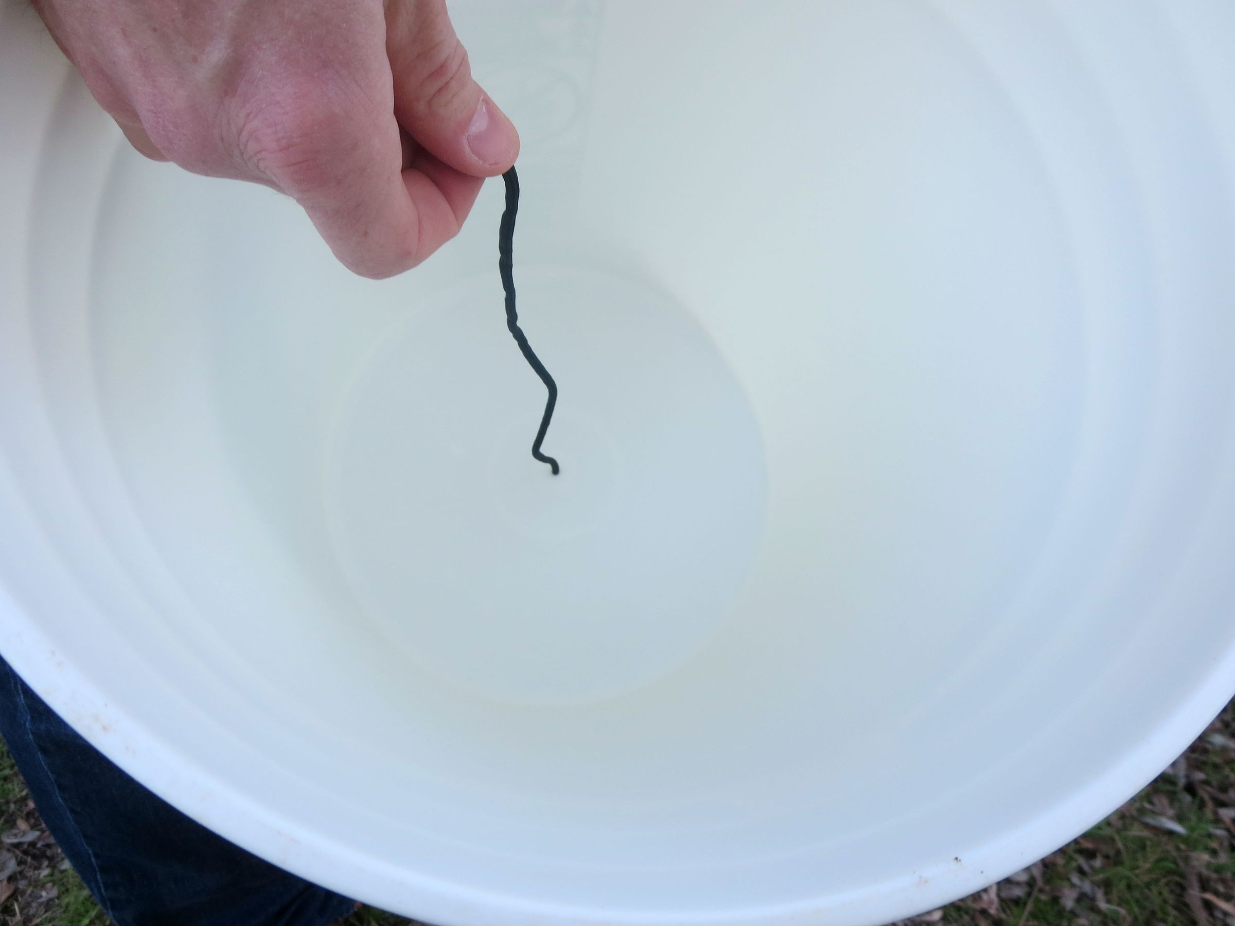 Bucket Bass 9 Steps (with Pictures) Instructables