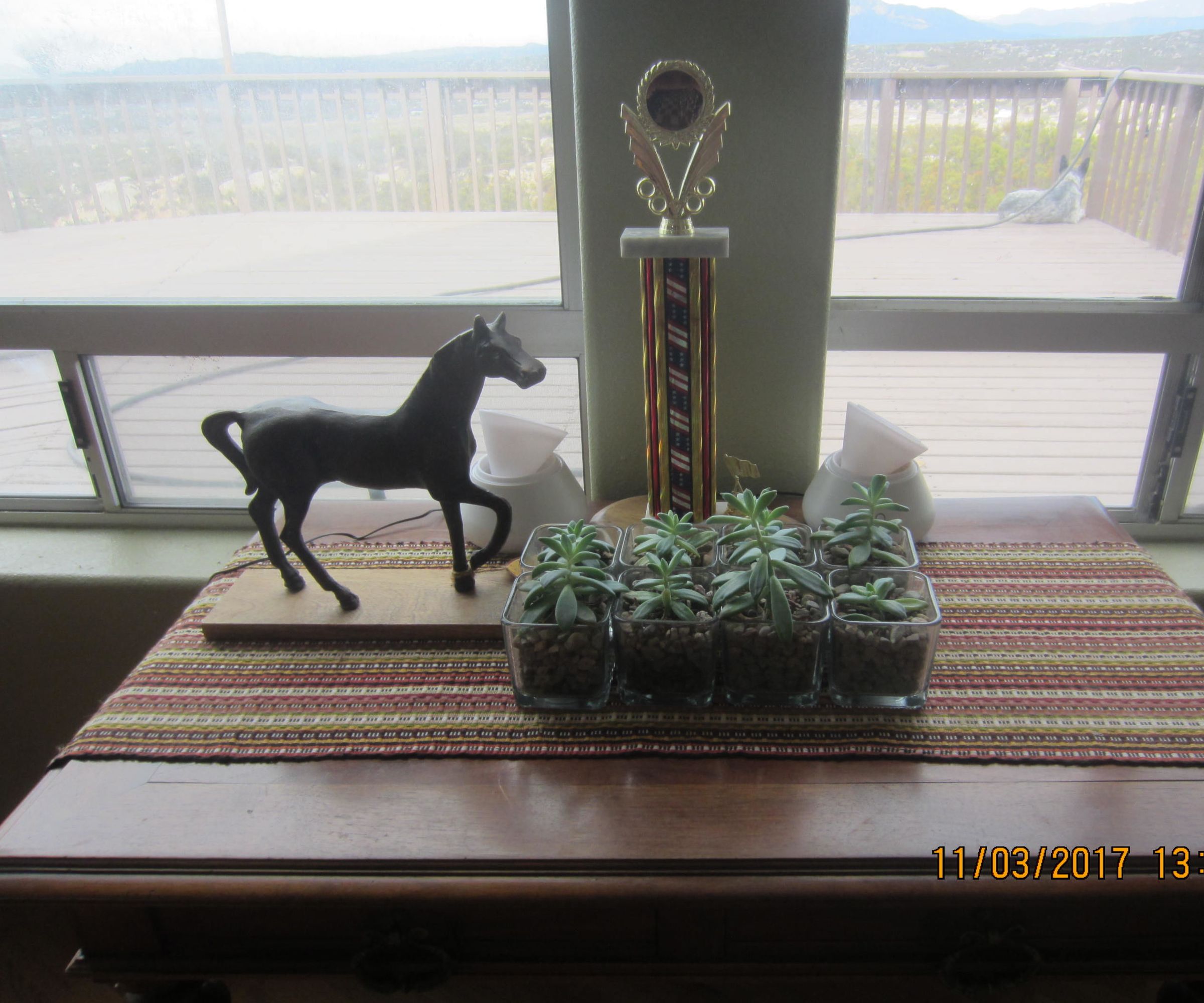 Trophy Vault: This Is a Great Place to Hide Money and Other Valuables.