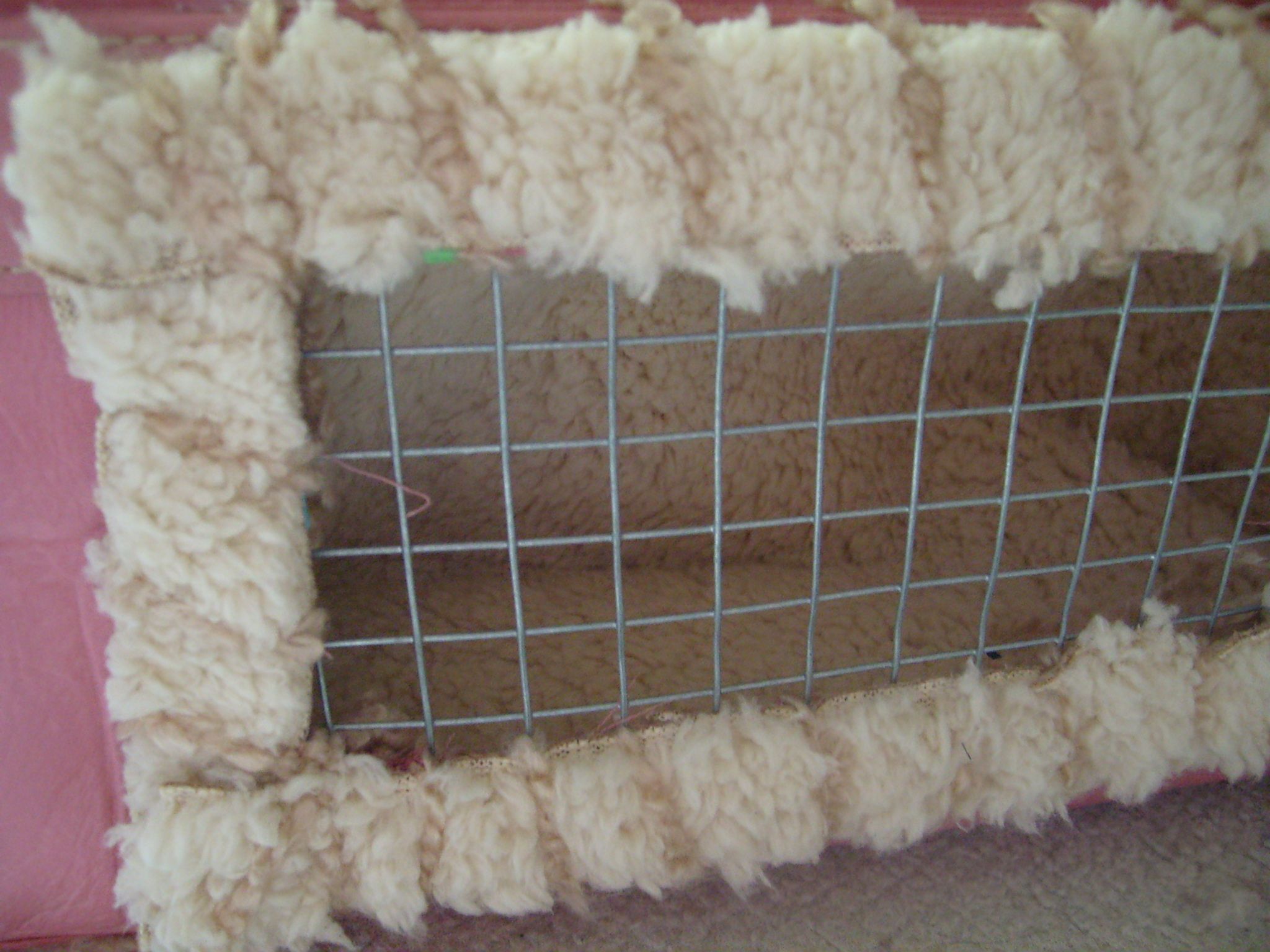 DIY Recycled Small Pet Carrier Backpack 8 Steps (with Pictures