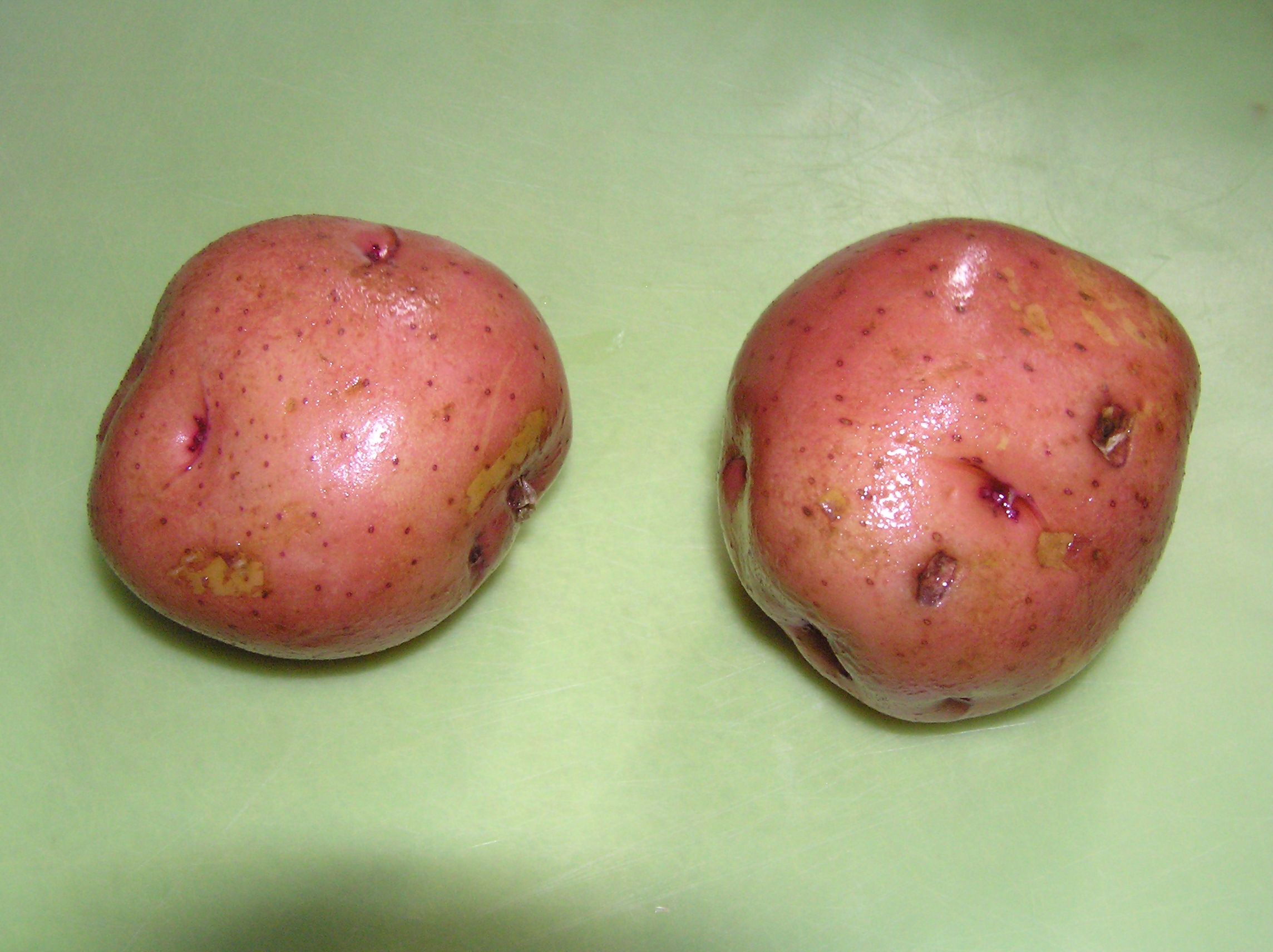 Make Potato Plastic! 5 Steps Instructables