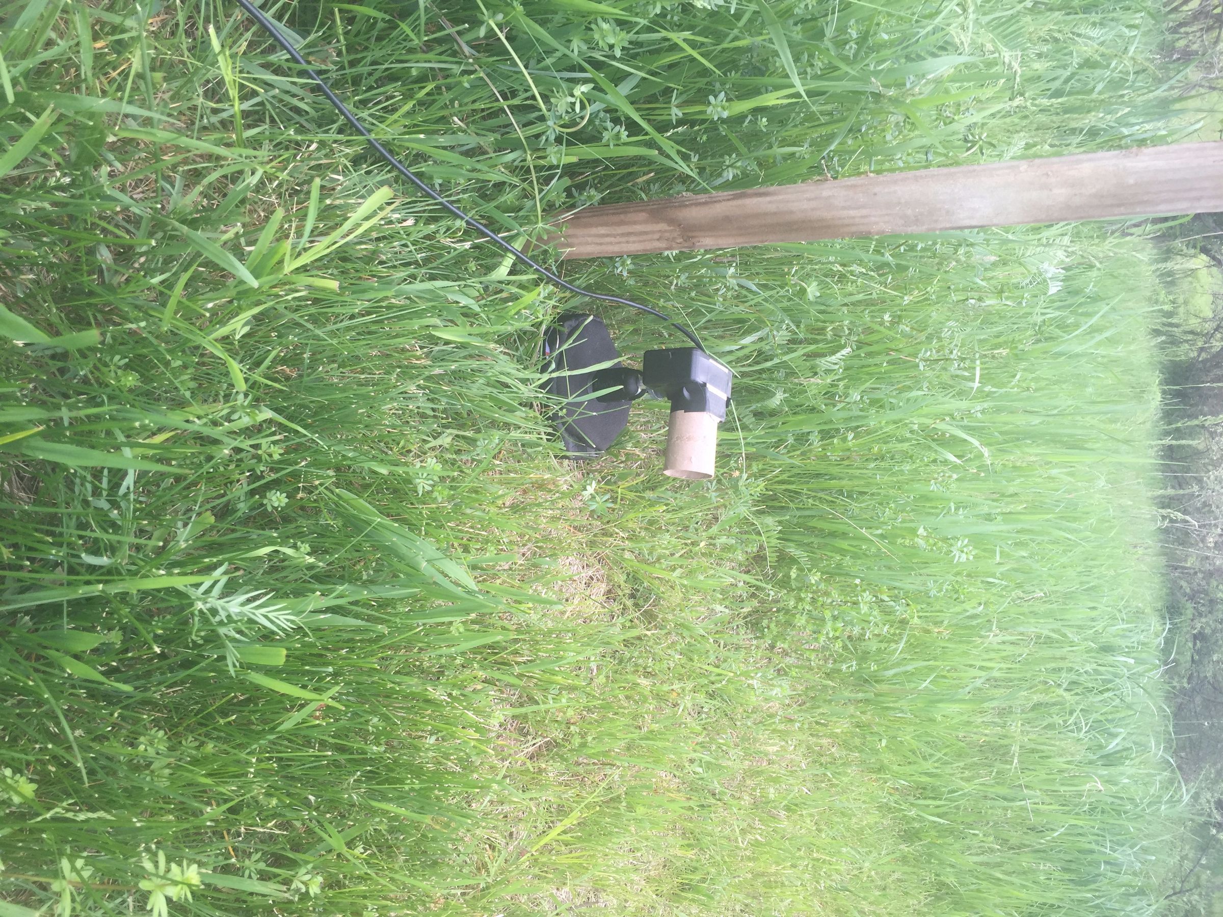 Simple PIR DSLR Camera Trap 8 Steps (with Pictures) Instructables