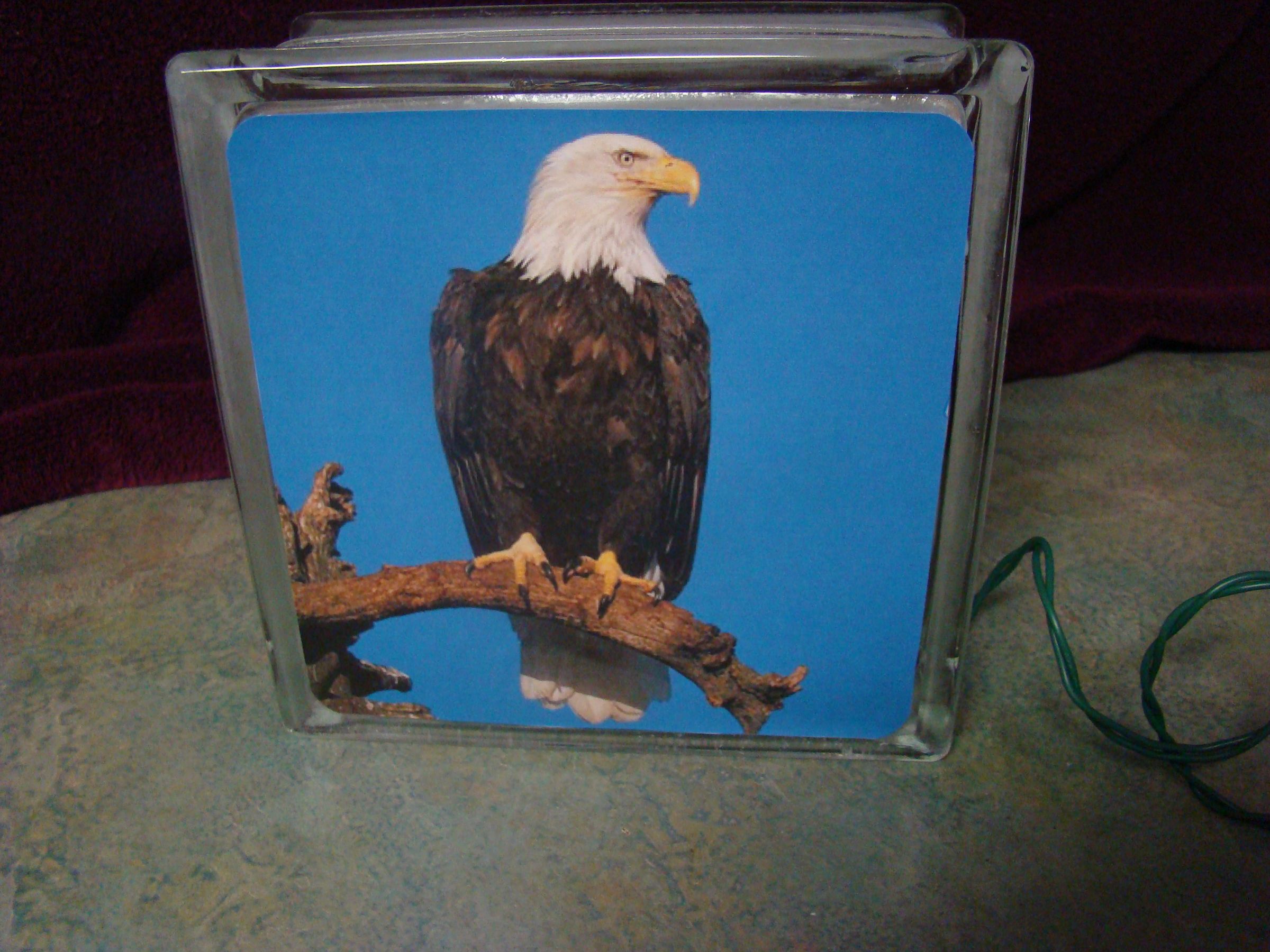 How to Make a Lighted Glass Block 11 Steps (with Pictures