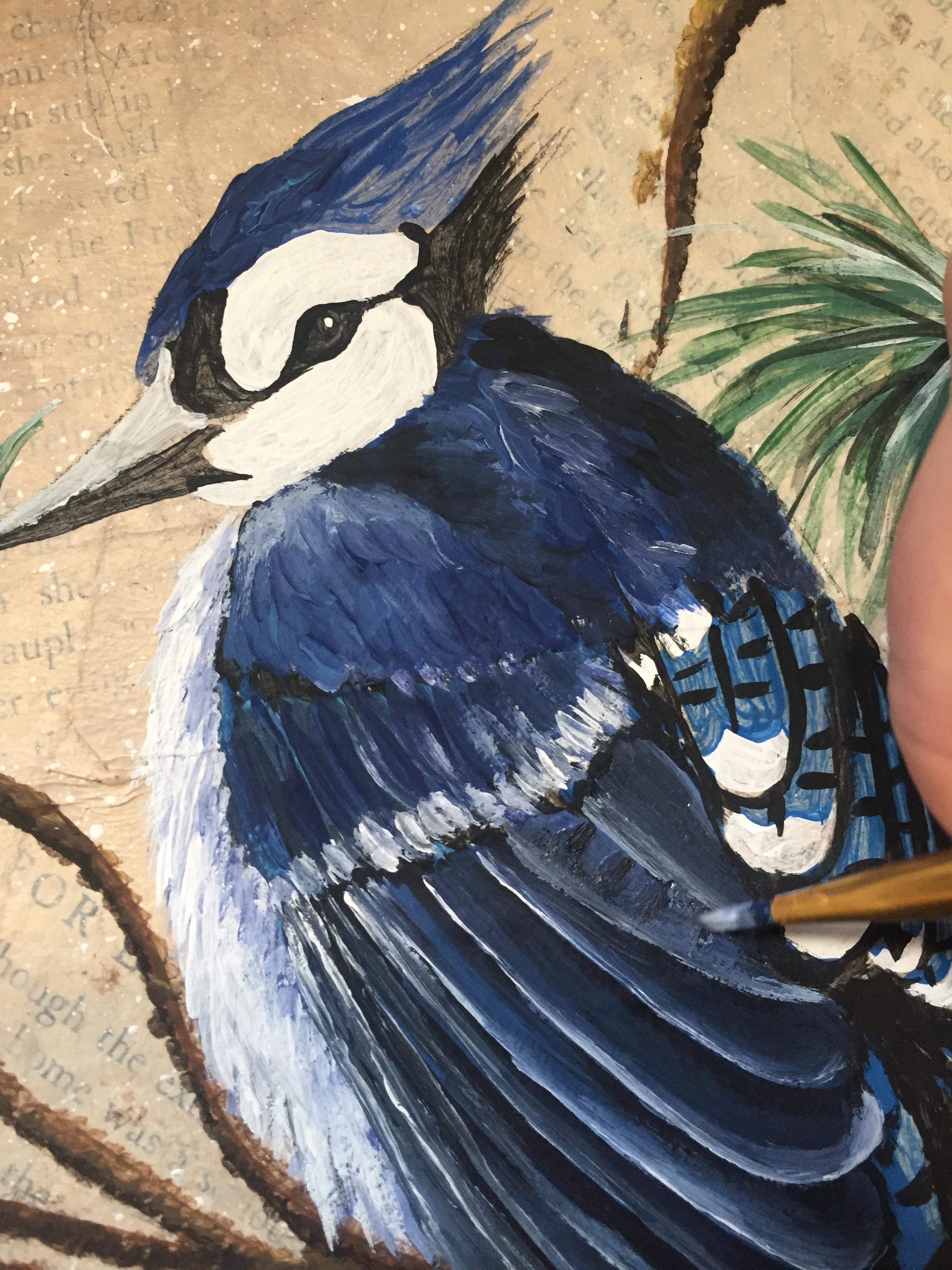 How to Paint a Blue Jay on a Branch. 13 Steps (with Pictures