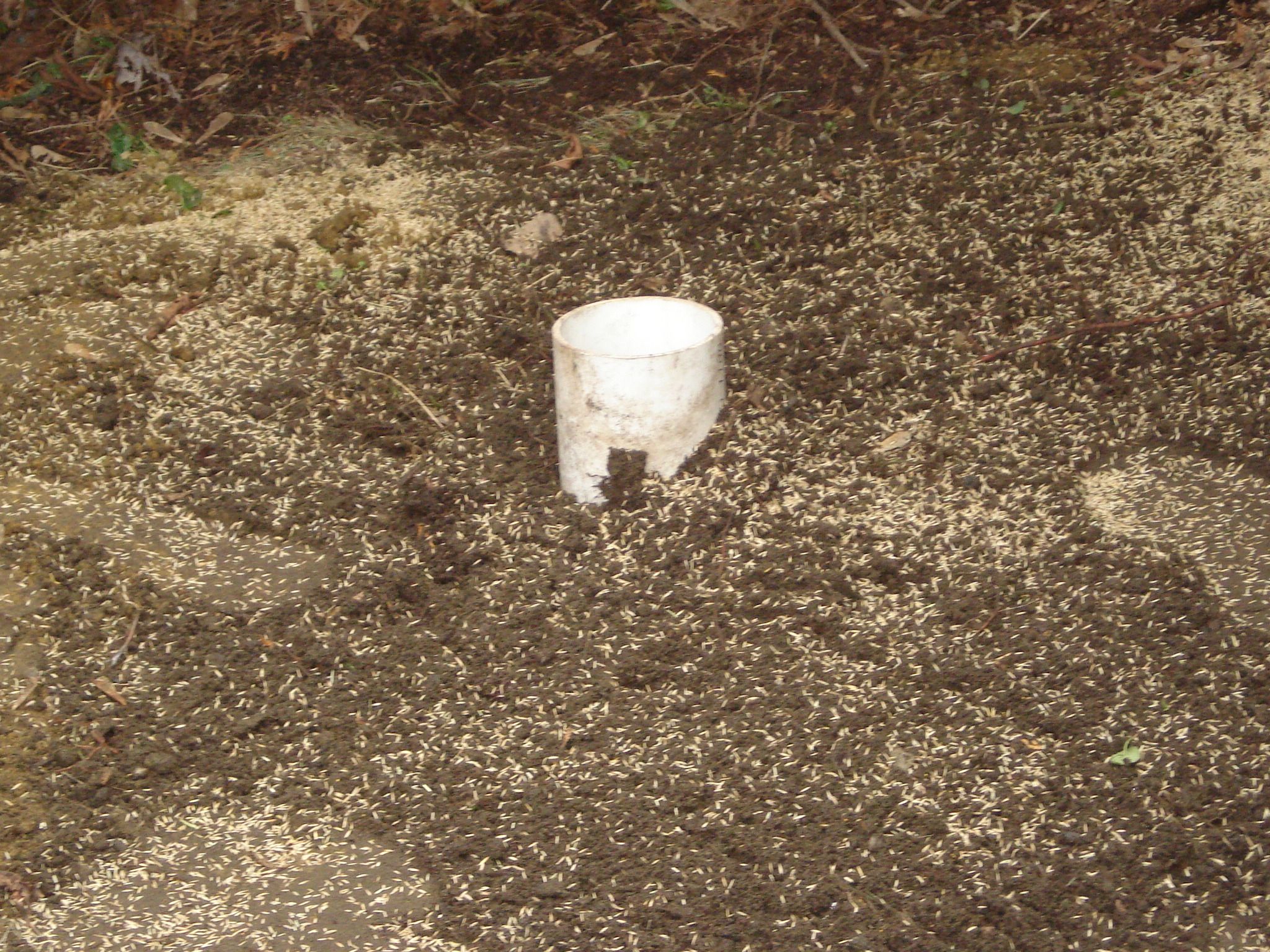 Big Dog Poop Composter (made From Salvaged Materials) 4 Steps