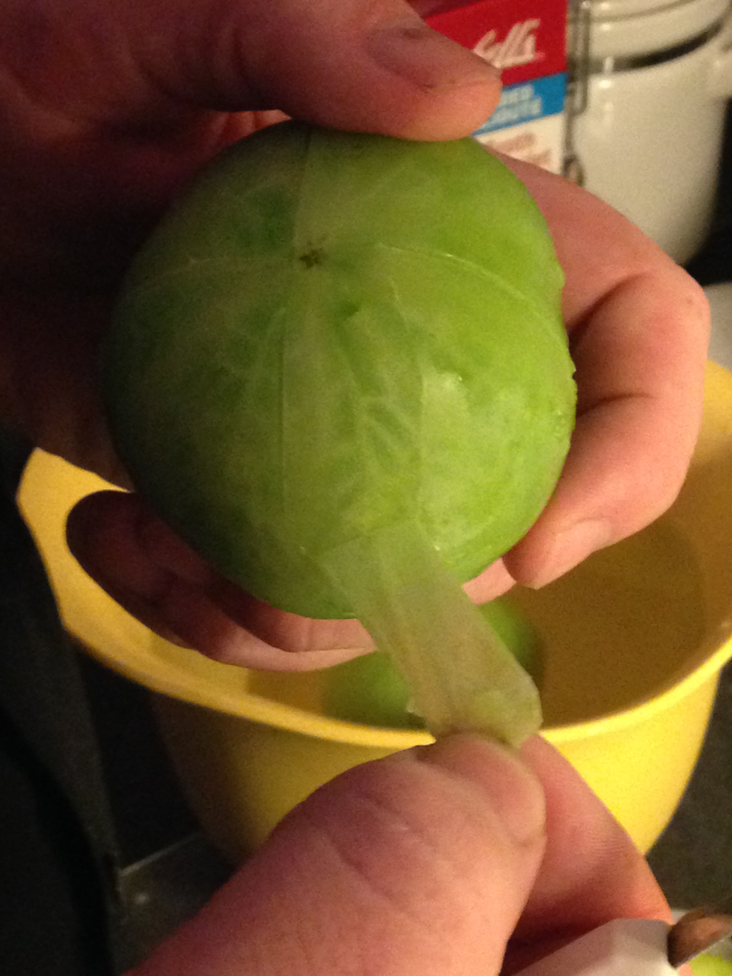 Green Tomato Raspberry Jam 7 Steps (with Pictures) Instructables