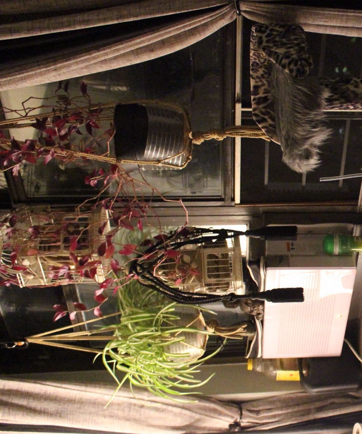 Kitty condo hack, from blah...to glam!