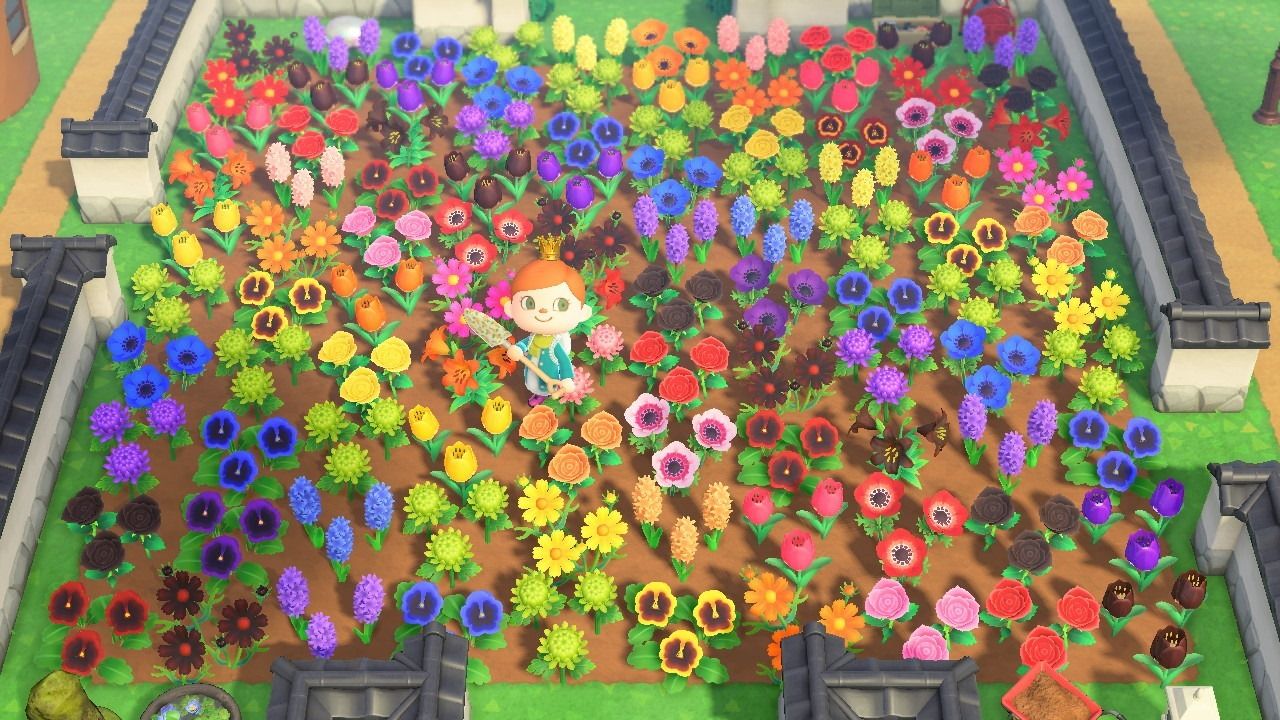 How To Breed All Hybrid Flowers In Animal Crossing New Horizons 8 Steps With Pictures Instructables