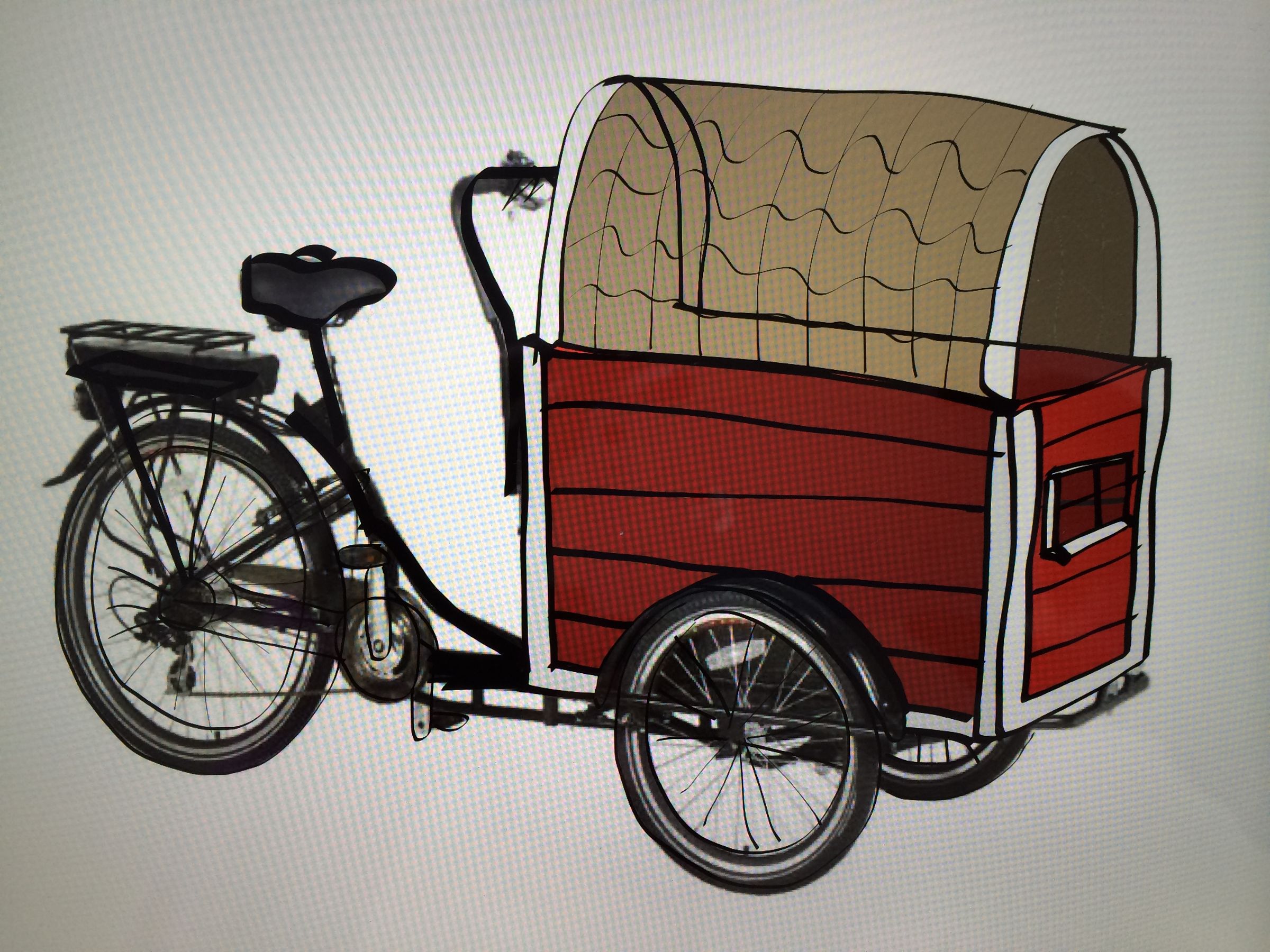 Cargo Bike Into a Swedish House 