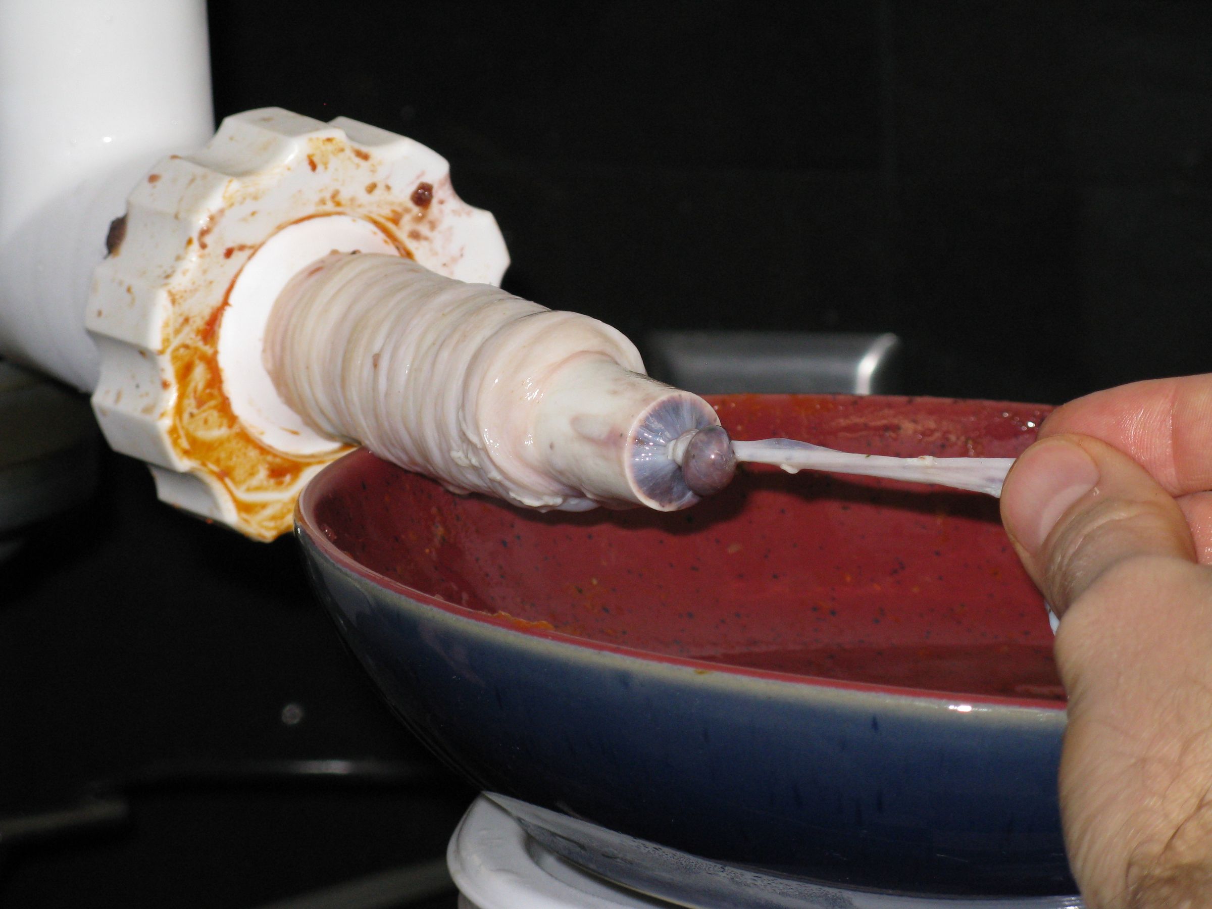 How to Make Sausage 14 Steps (with Pictures) Instructables