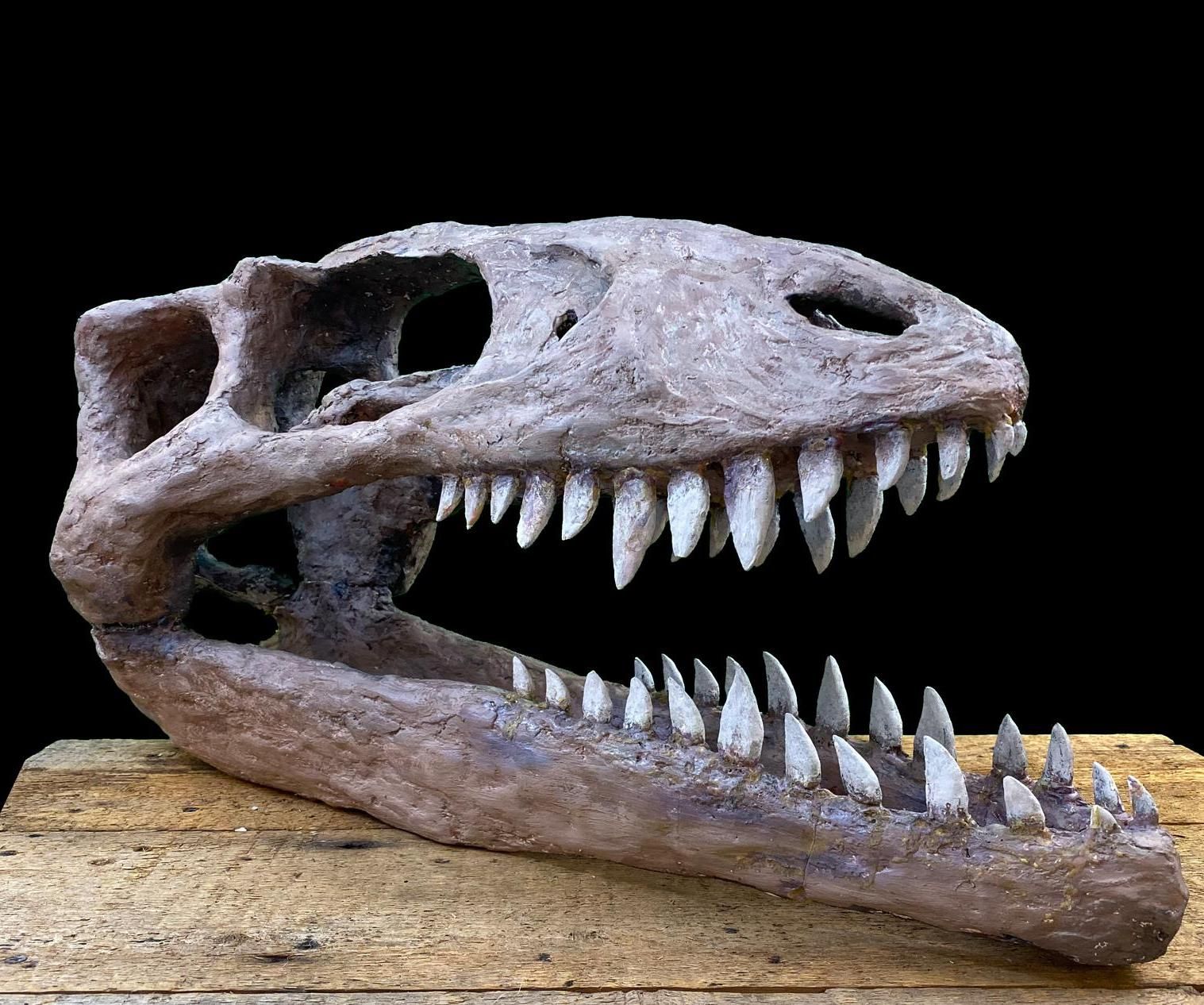 Make a Giant Dinosaur "Skullpture"!