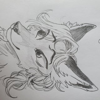 picture Wolf Fursona Drawing how to draw an anthro wolf head 5