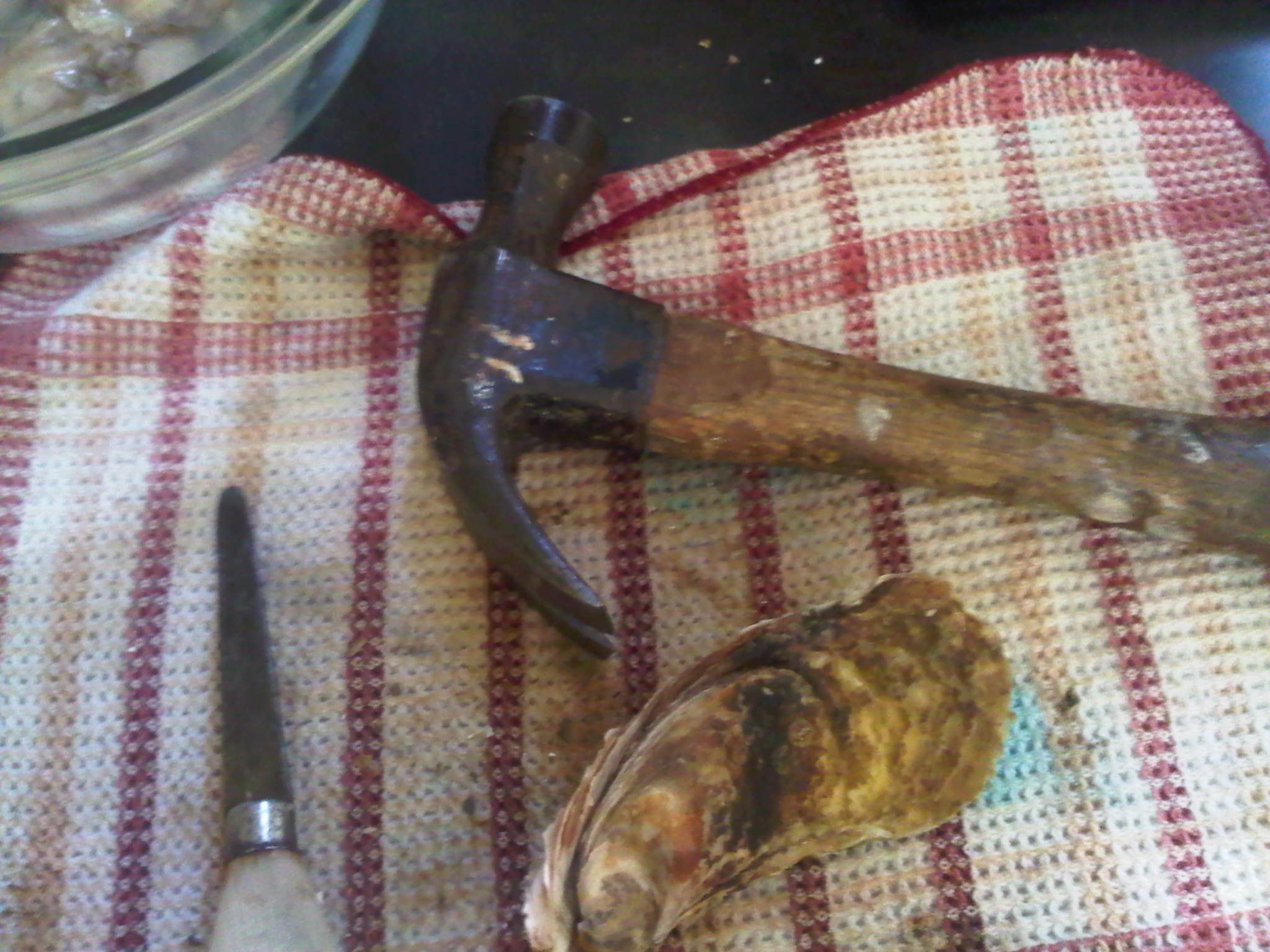 How to Smoke Oysters at Home 4 Steps (with Pictures) Instructables