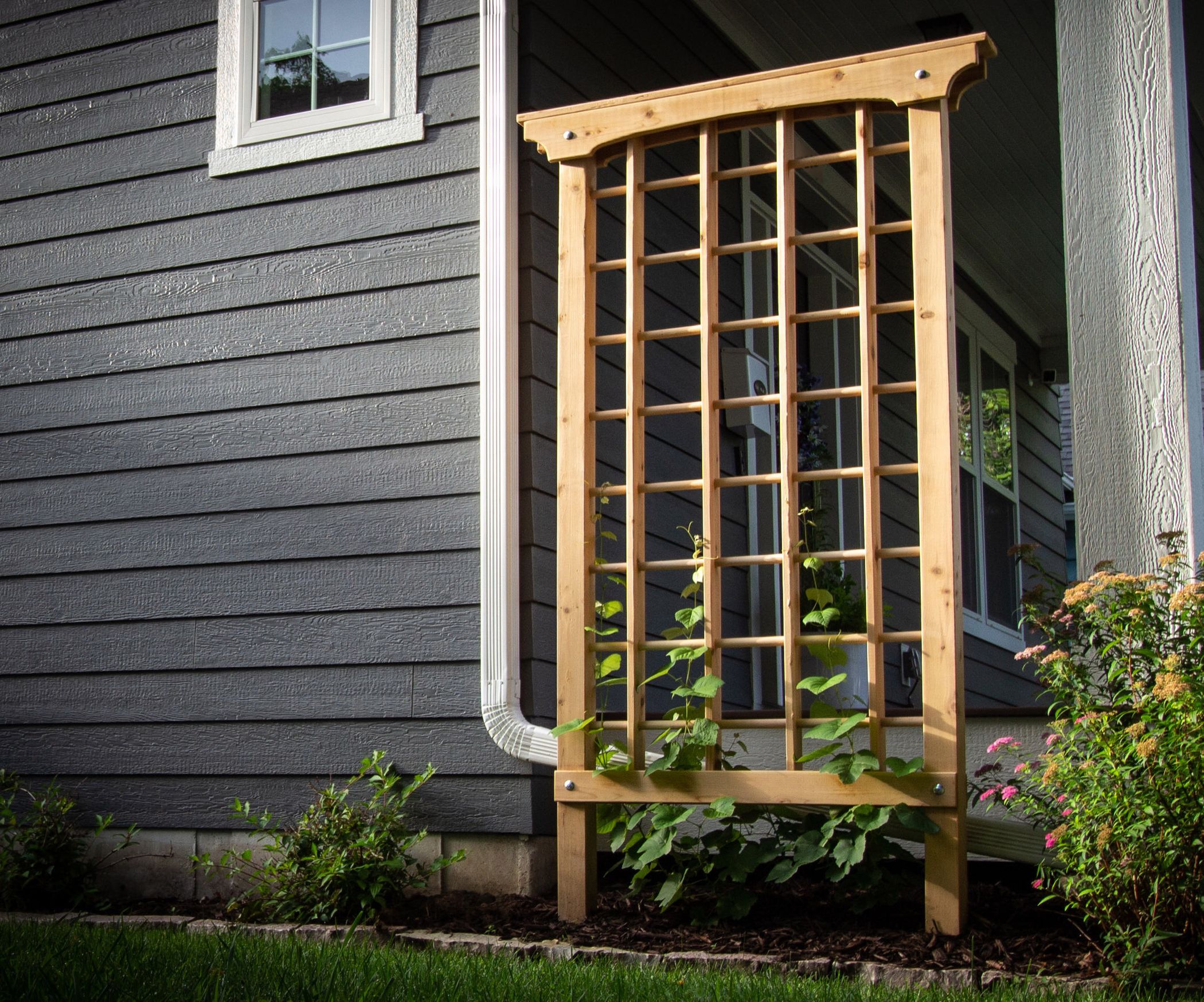 Building a Cedar Grape Trellis : 13 Steps (with Pictures) - Instructables
