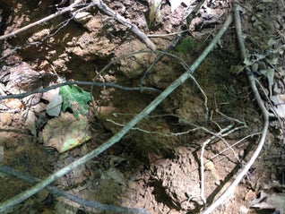 Encontre uma fonte de argila natural...