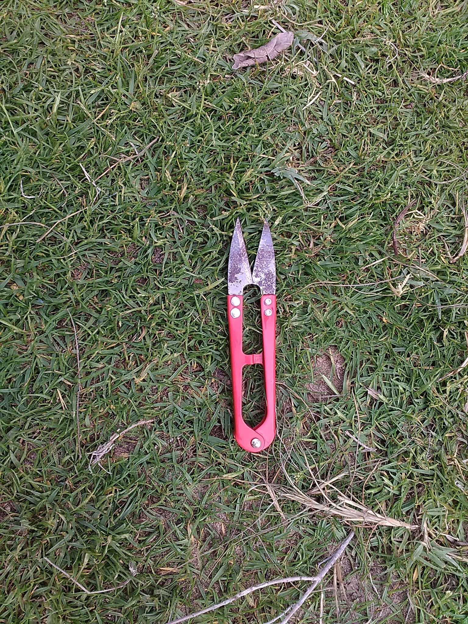 Salvage Many LEDs From Scrapped LED Strips 5 Steps Instructables