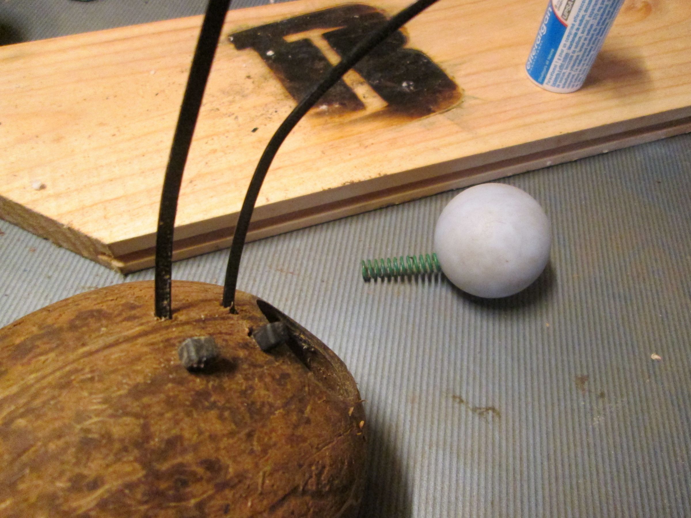 Coconut Mouse Trap 4 Steps (with Pictures) Instructables