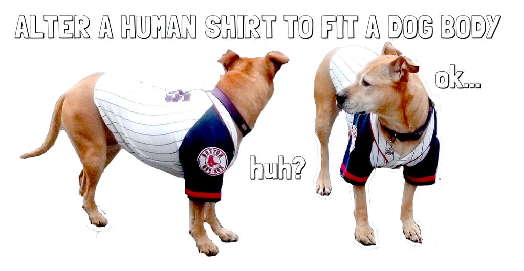 Alter Human Shirts To Fit A Dog S Body Instructables Alter Human Shirts To Fit A Dog S Body Instructables