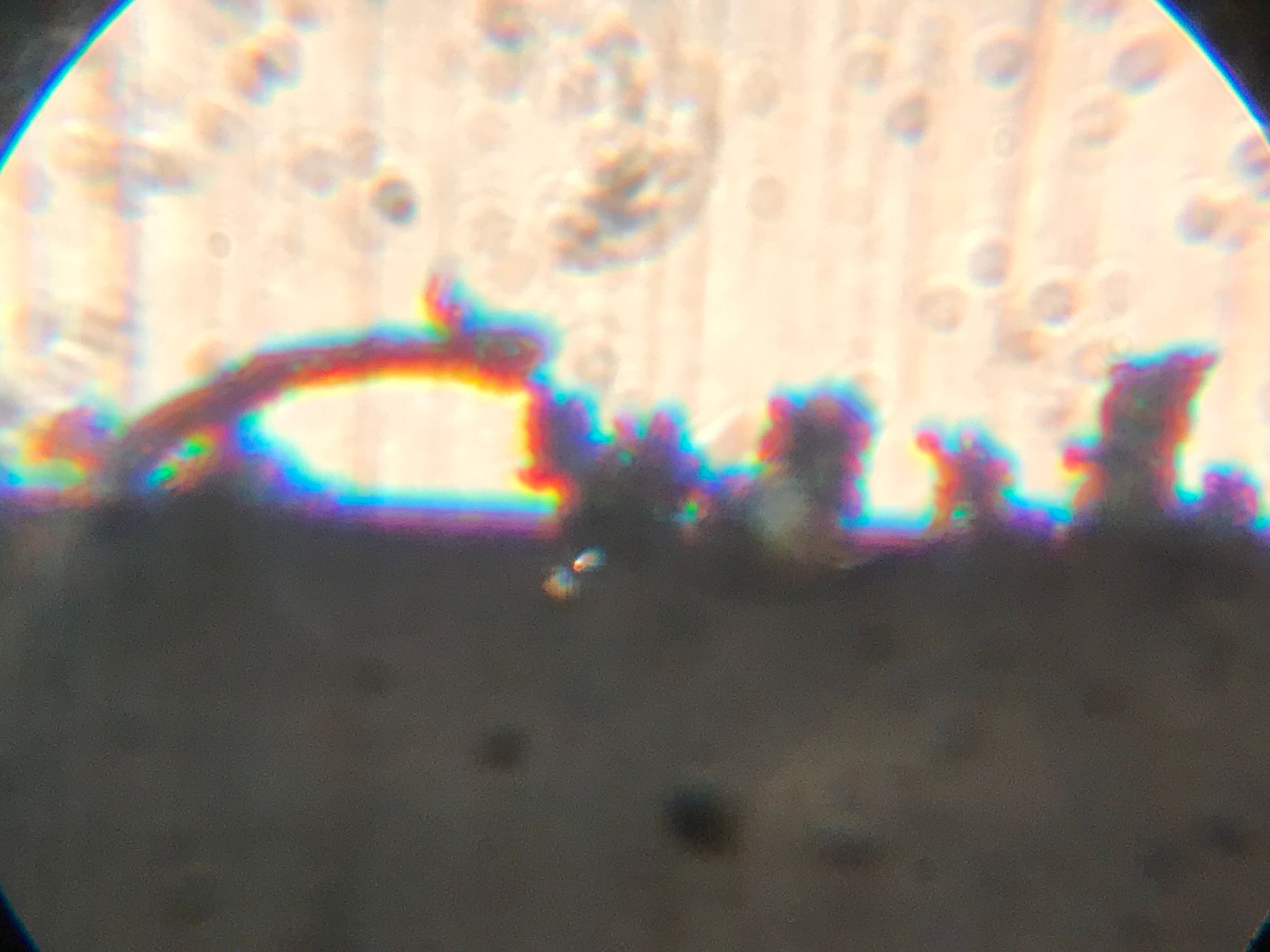 Sharpening Rotary Razor Blades Safe and Simple Method 5 Steps (with Pictures) Instructables