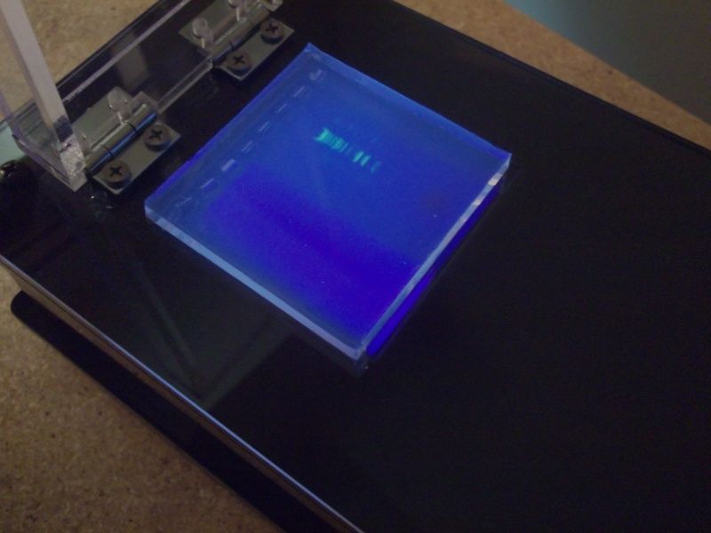 uv transilluminator 7 steps with