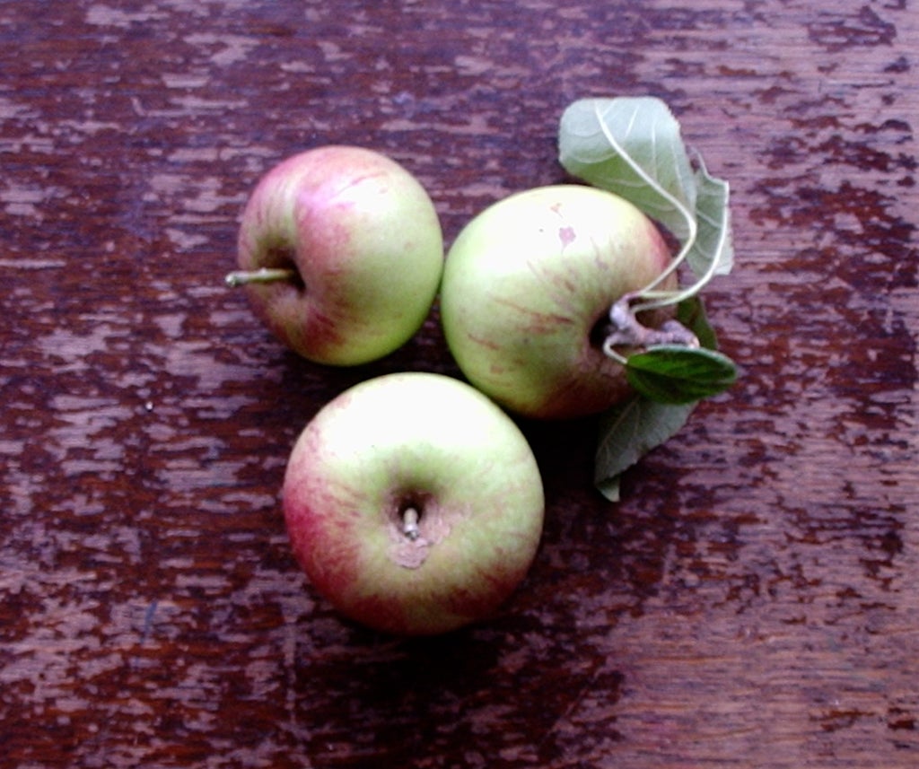 Intalnire gratuita a Apple