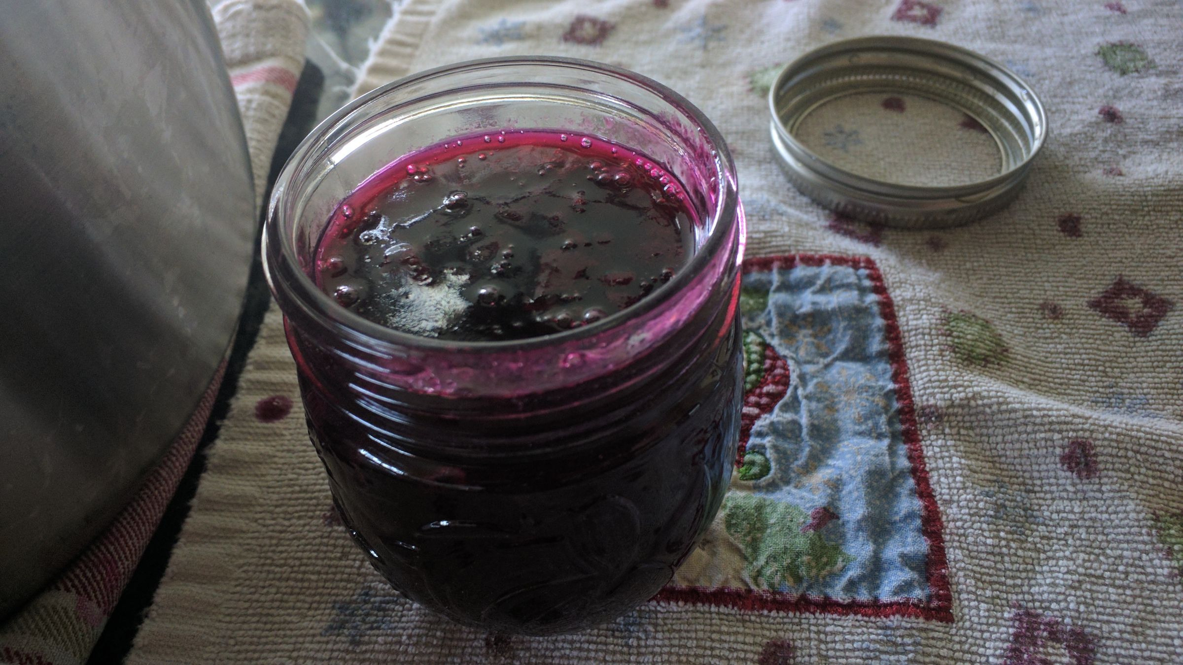 Texas Wild Mustang Grape Jelly 7 Steps (with Pictures) Instructables