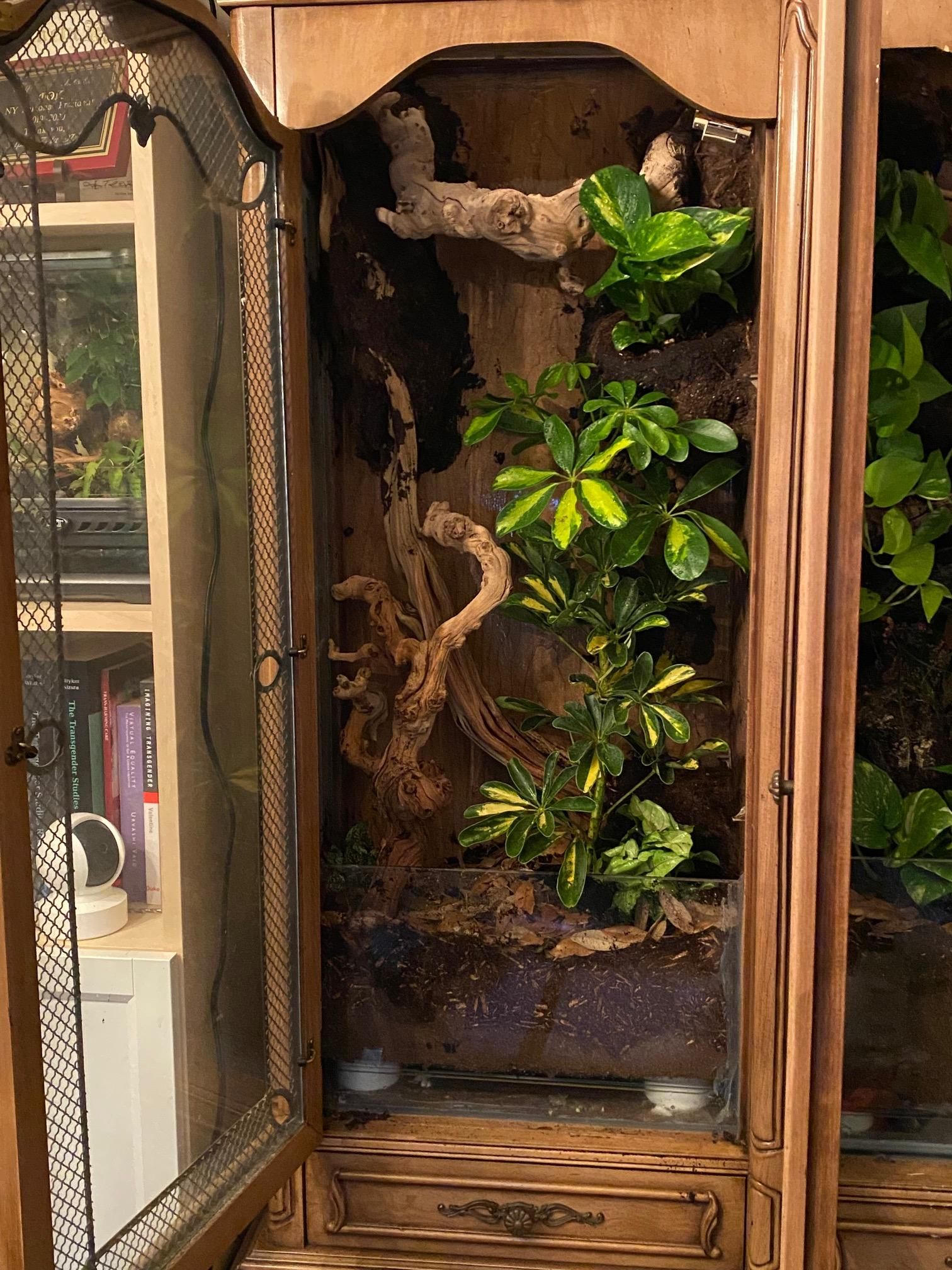 Building Narnia an Automated China Vivarium Conversion 8