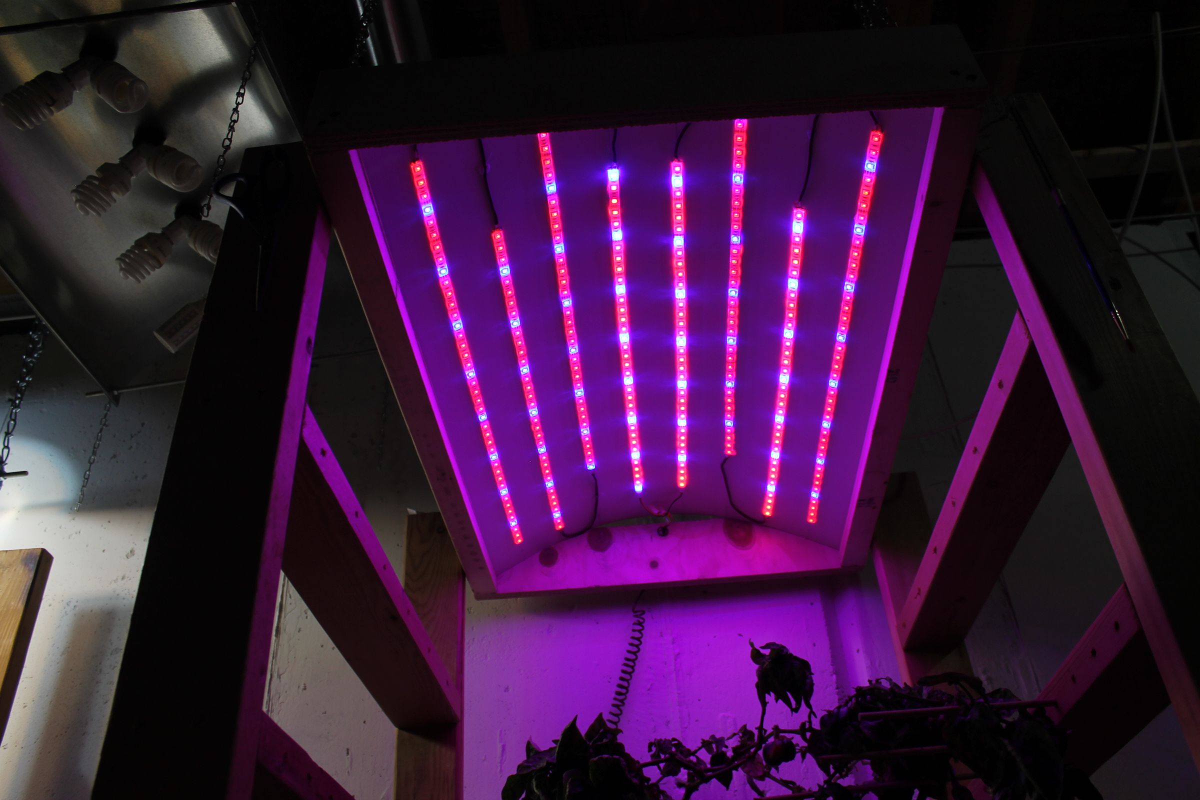 DIY LED Grow Light 4 Steps (with Pictures) Instructables