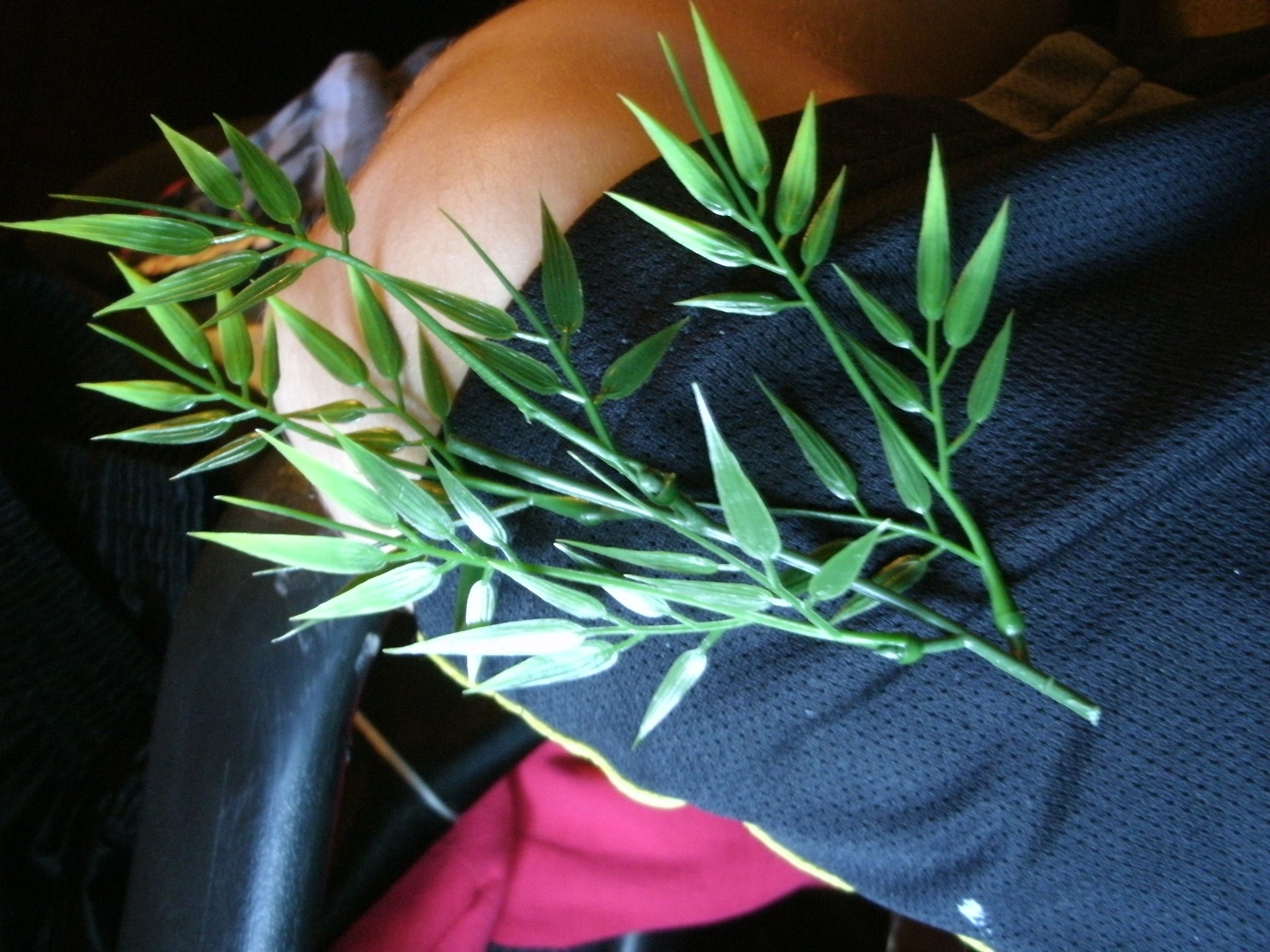 Cheap Artificial Aquarium Plants 6 Steps Instructables