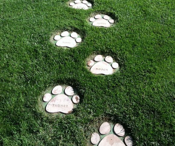 Dog Paws Stepping Stones