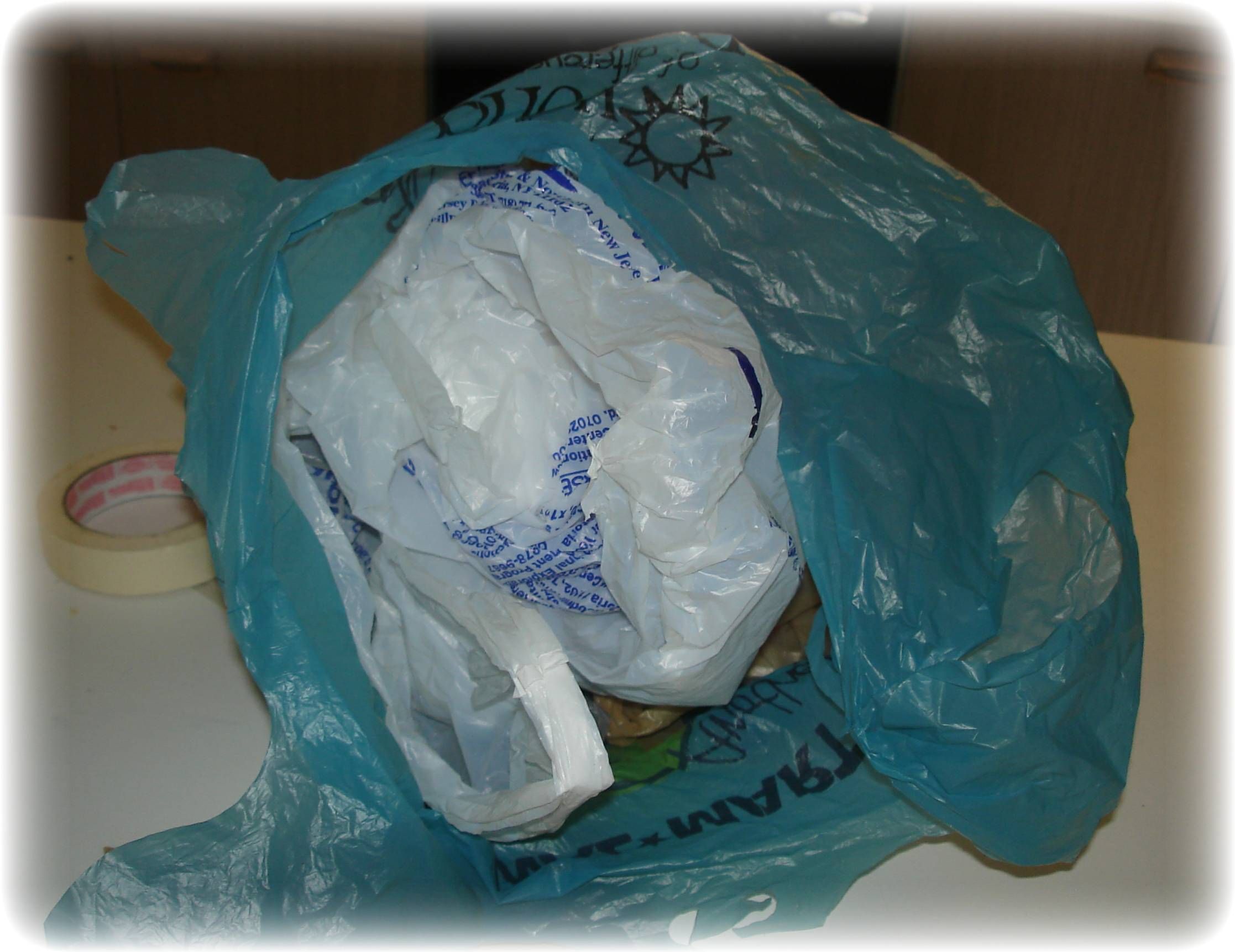 Recycle Plastic Grocery Bags, Wire Hangers and Newspaper Into Loons! 15 Steps (with Pictures