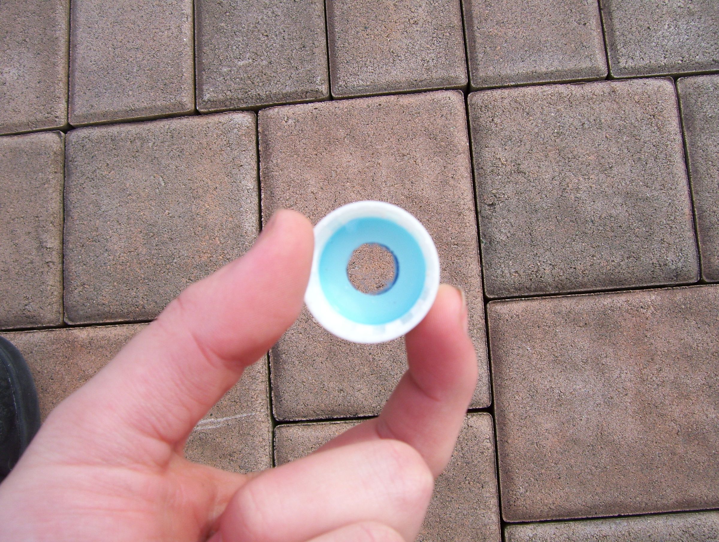 EcoFriendly Plant Waterer Made From Recycled Bottles! 6 Steps