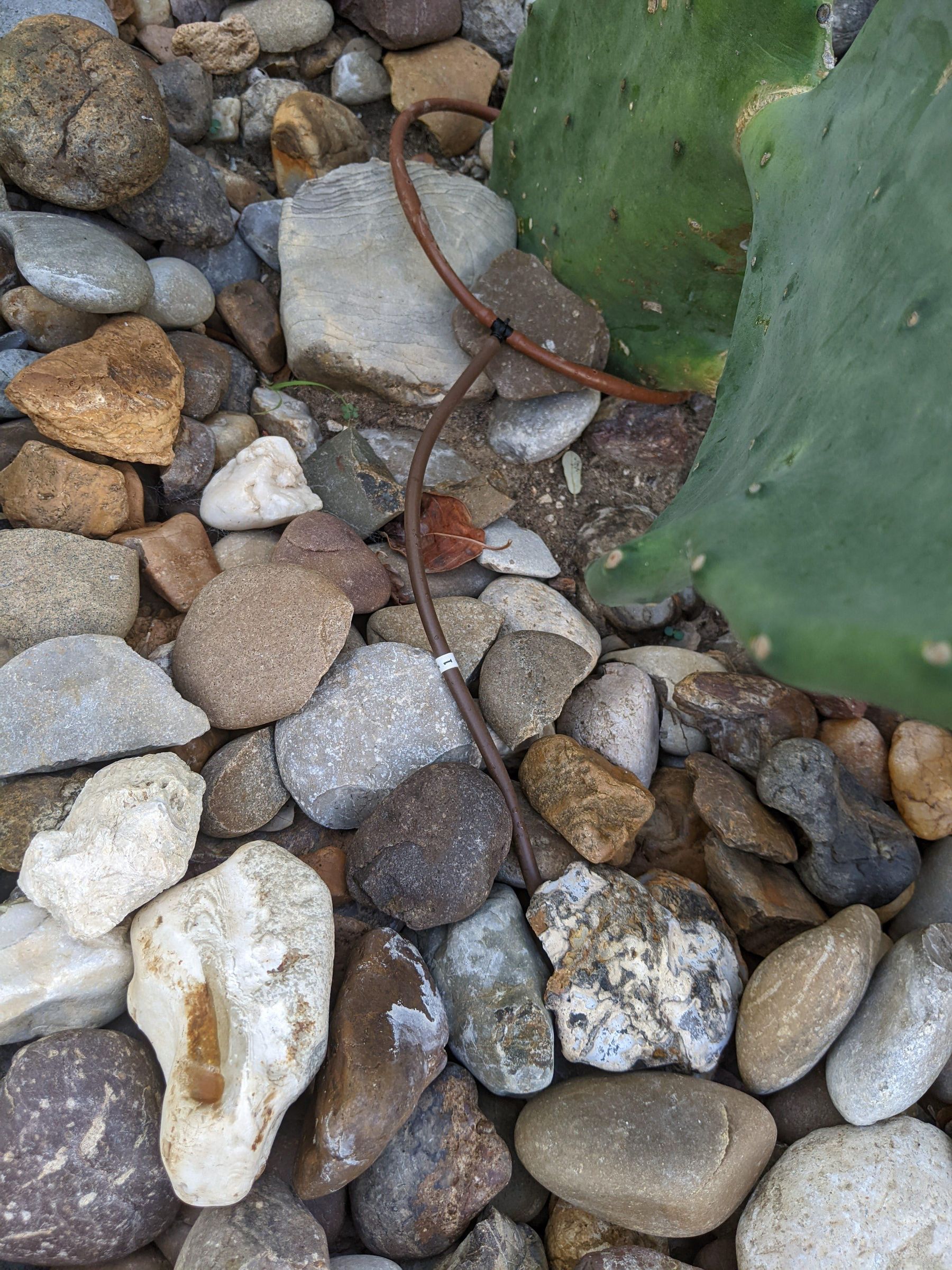 Drip Irrigation and How to Hide Your Manifolds Bonus How to Find Your