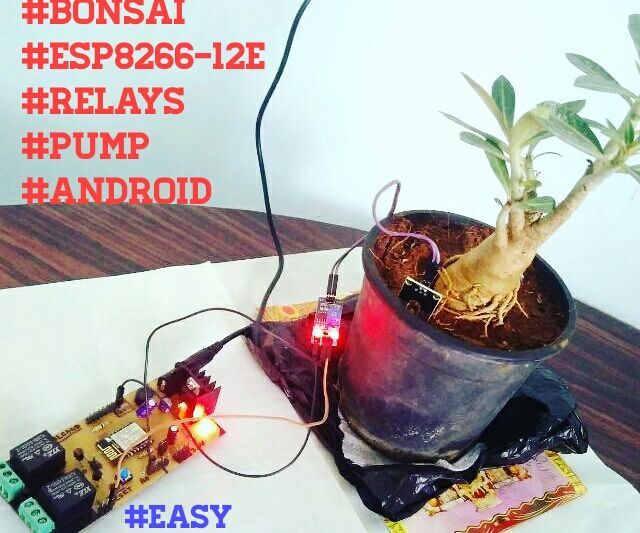 #diy# how to grow bonsai (or any plant) using internet of things (iot) DIY Project DIY Project Image