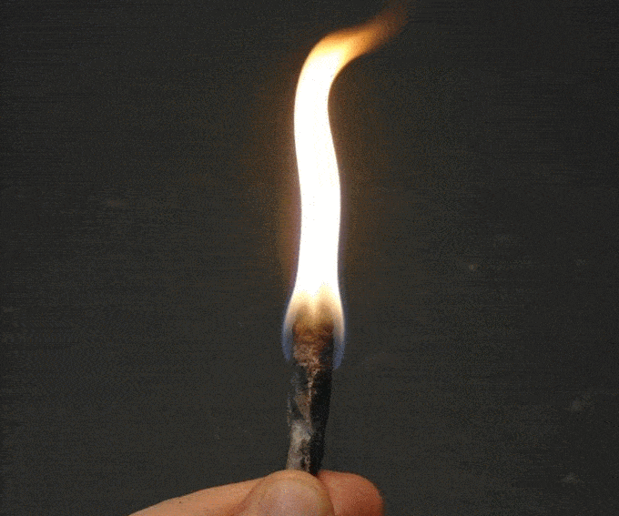 Dryer Lint Fire Starter Twigs 6 Steps (with Pictures) Instructables