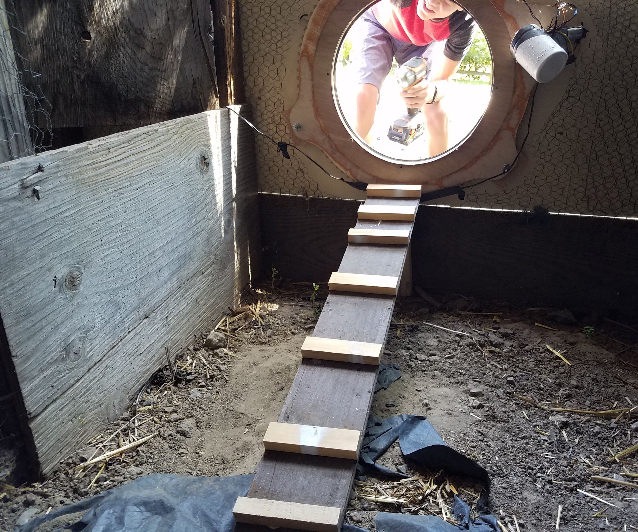 Chicken Ladder 5 Steps (with Pictures) Instructables