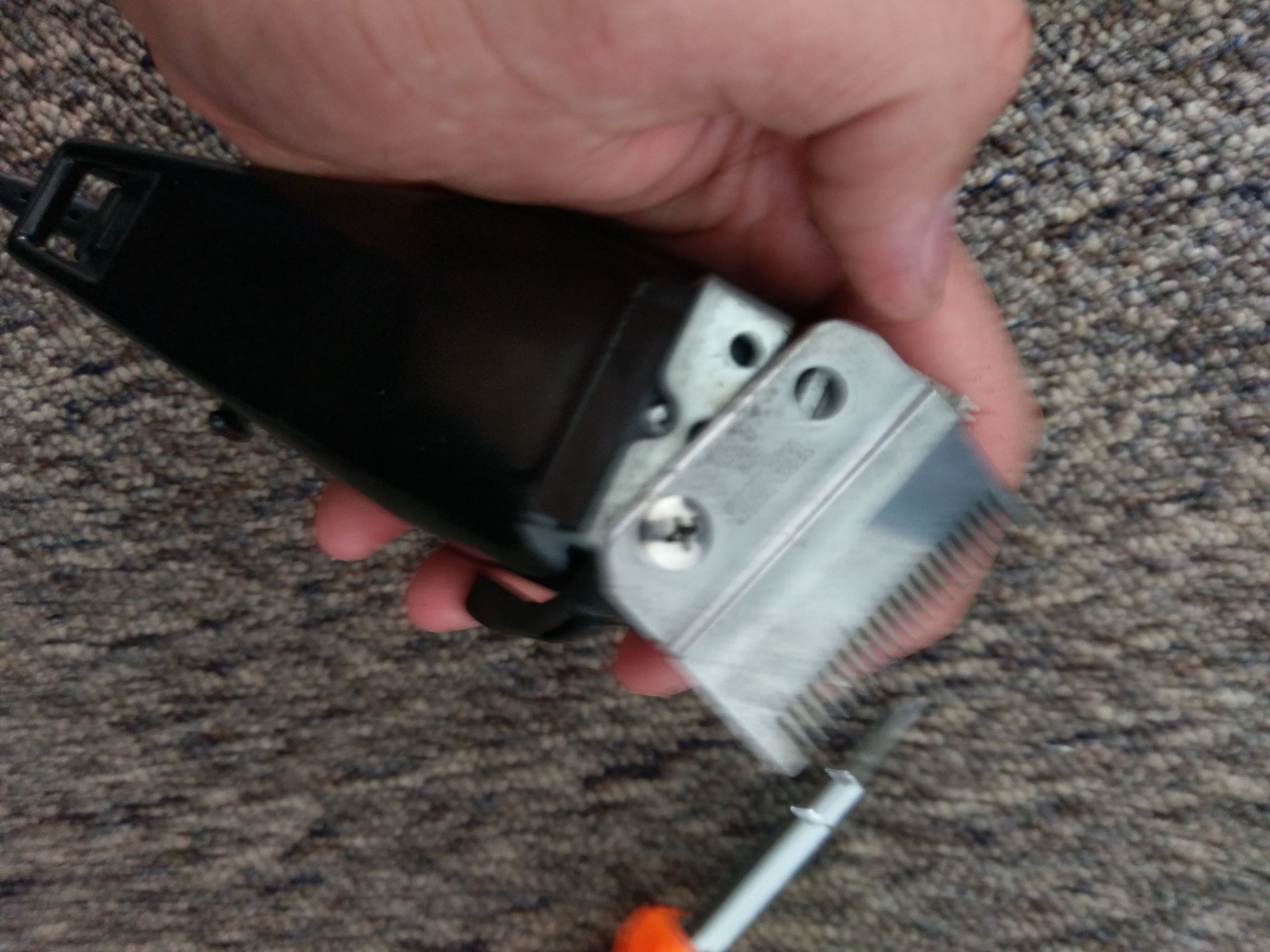Clipper Maintenance 5 Steps (with Pictures) Instructables