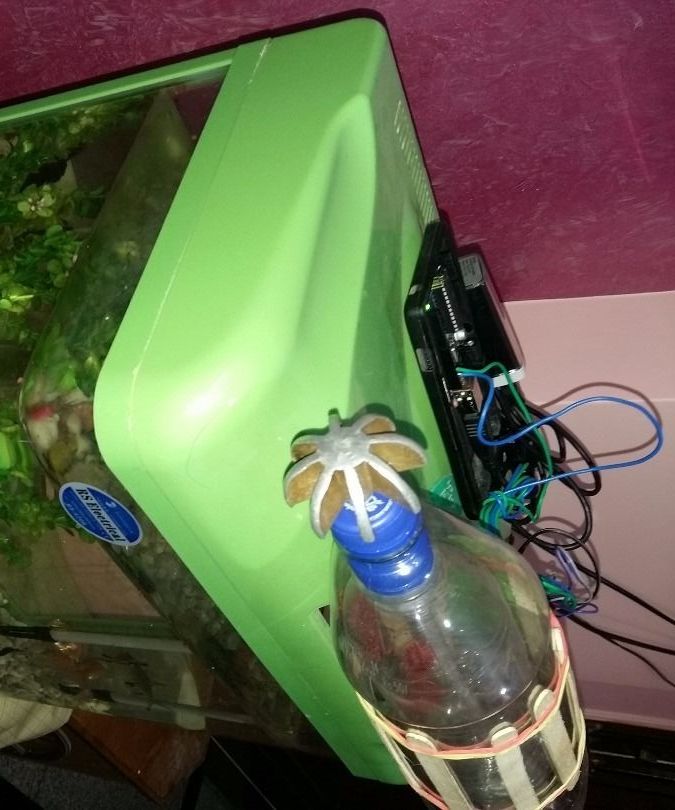 DIY guide for Simplest Automatic Fish Feeder with step-by-step instructions