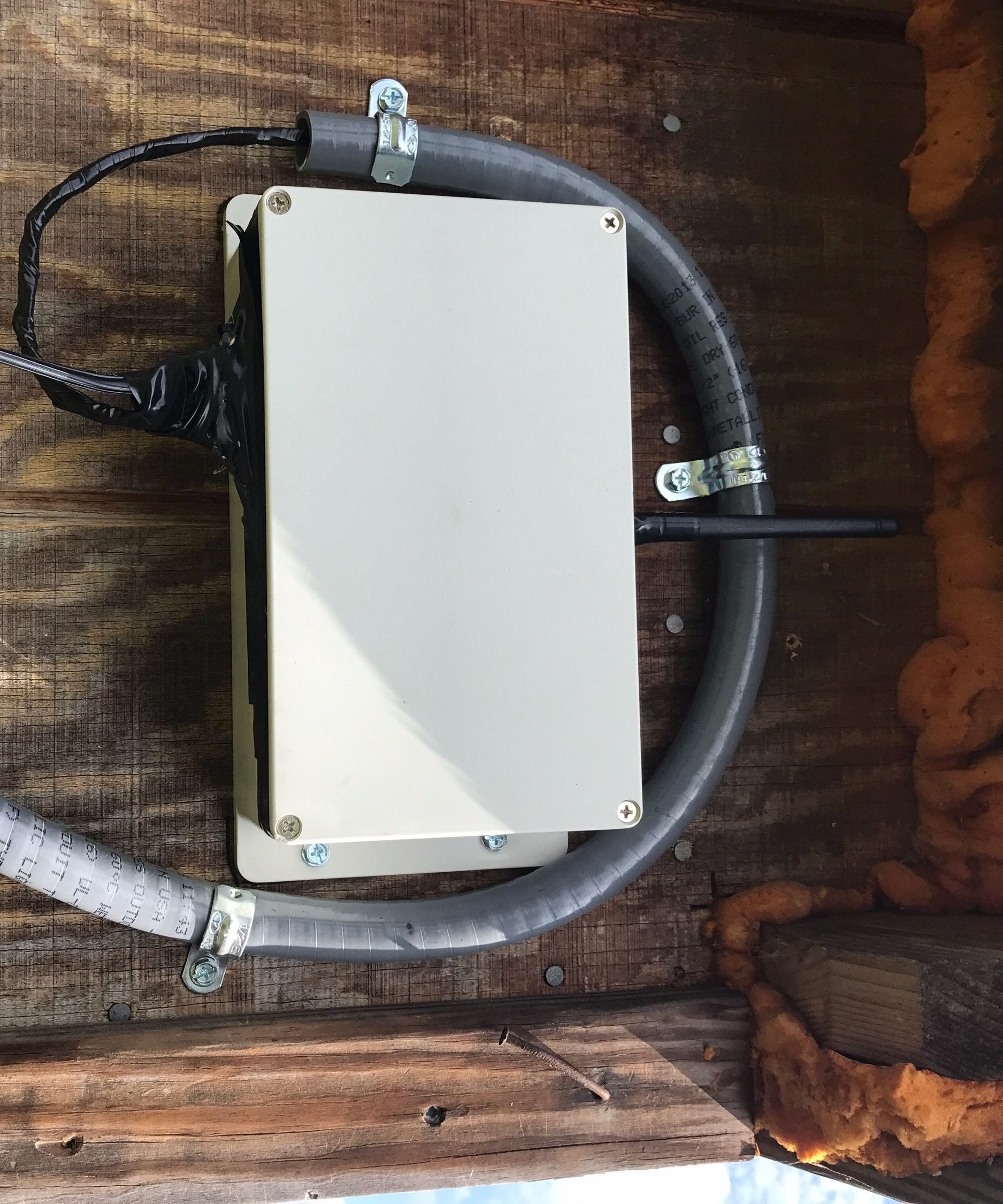 IoT Outdoor Pet Door