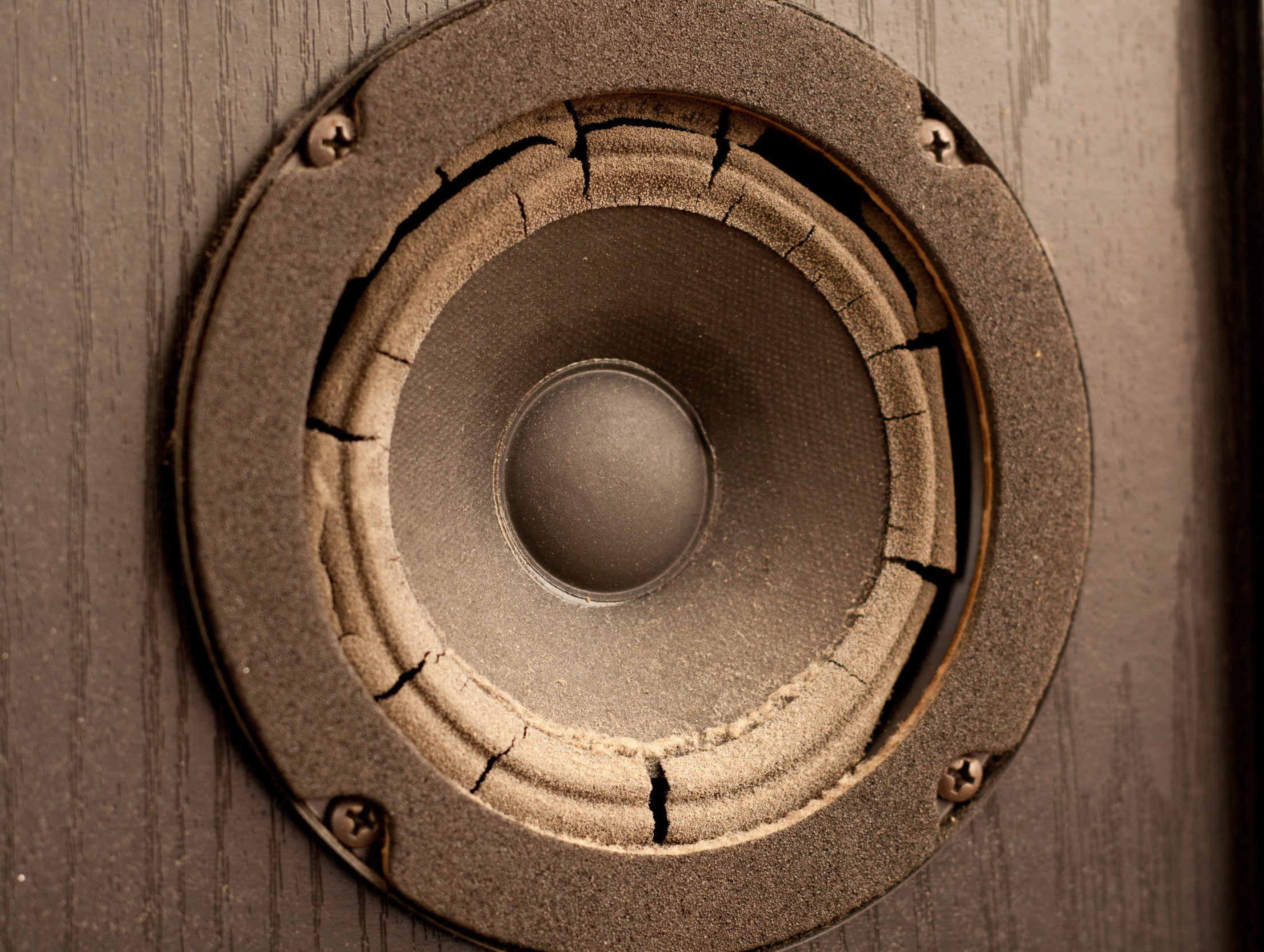 speaker rubber surround treatment