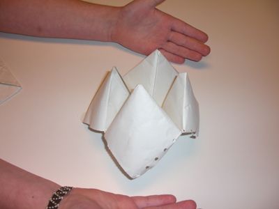 amelia's fortune teller DIY Project DIY Project Image
