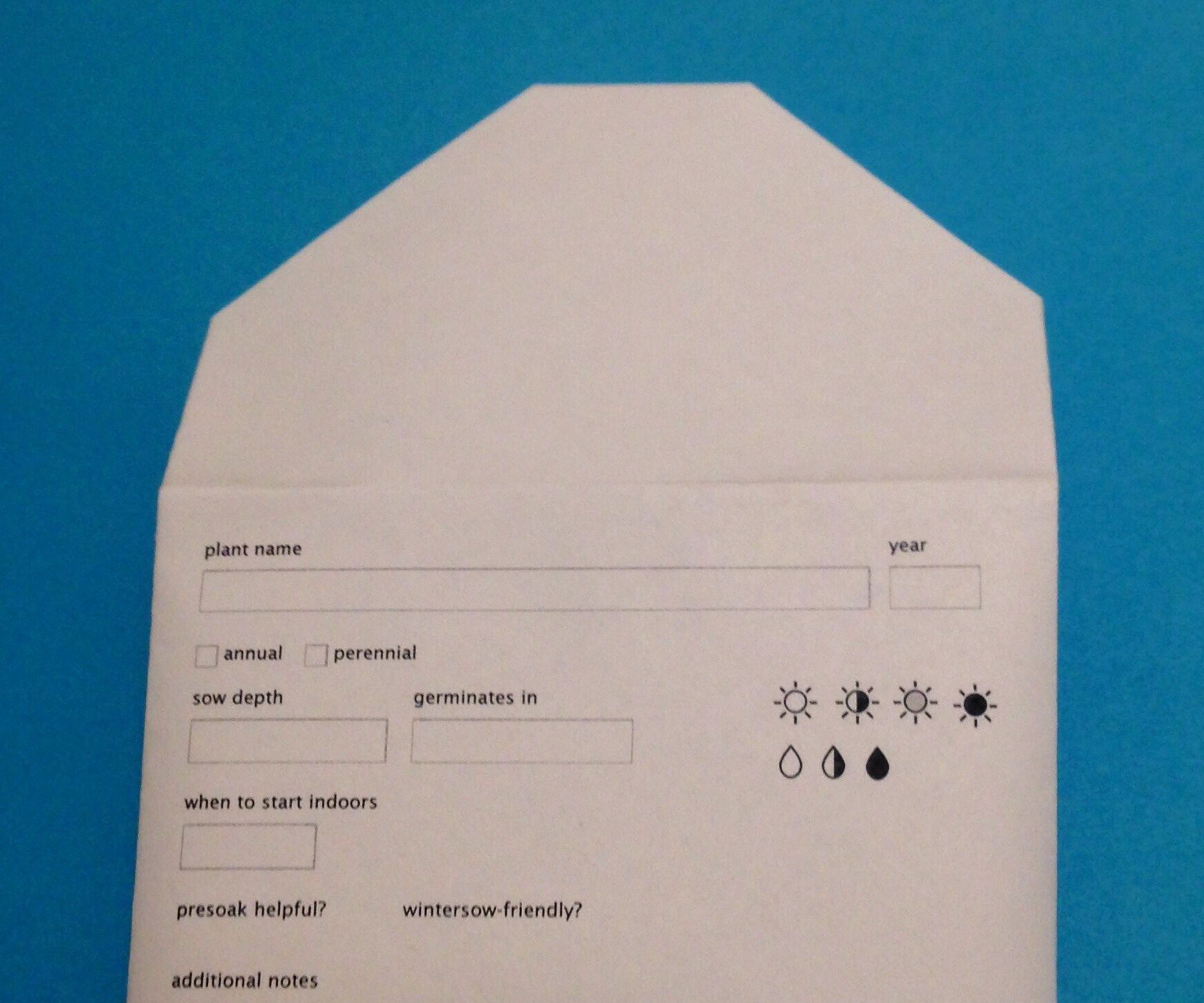 Step-by-step guide for perfect seed envelope DIY Project DIY project