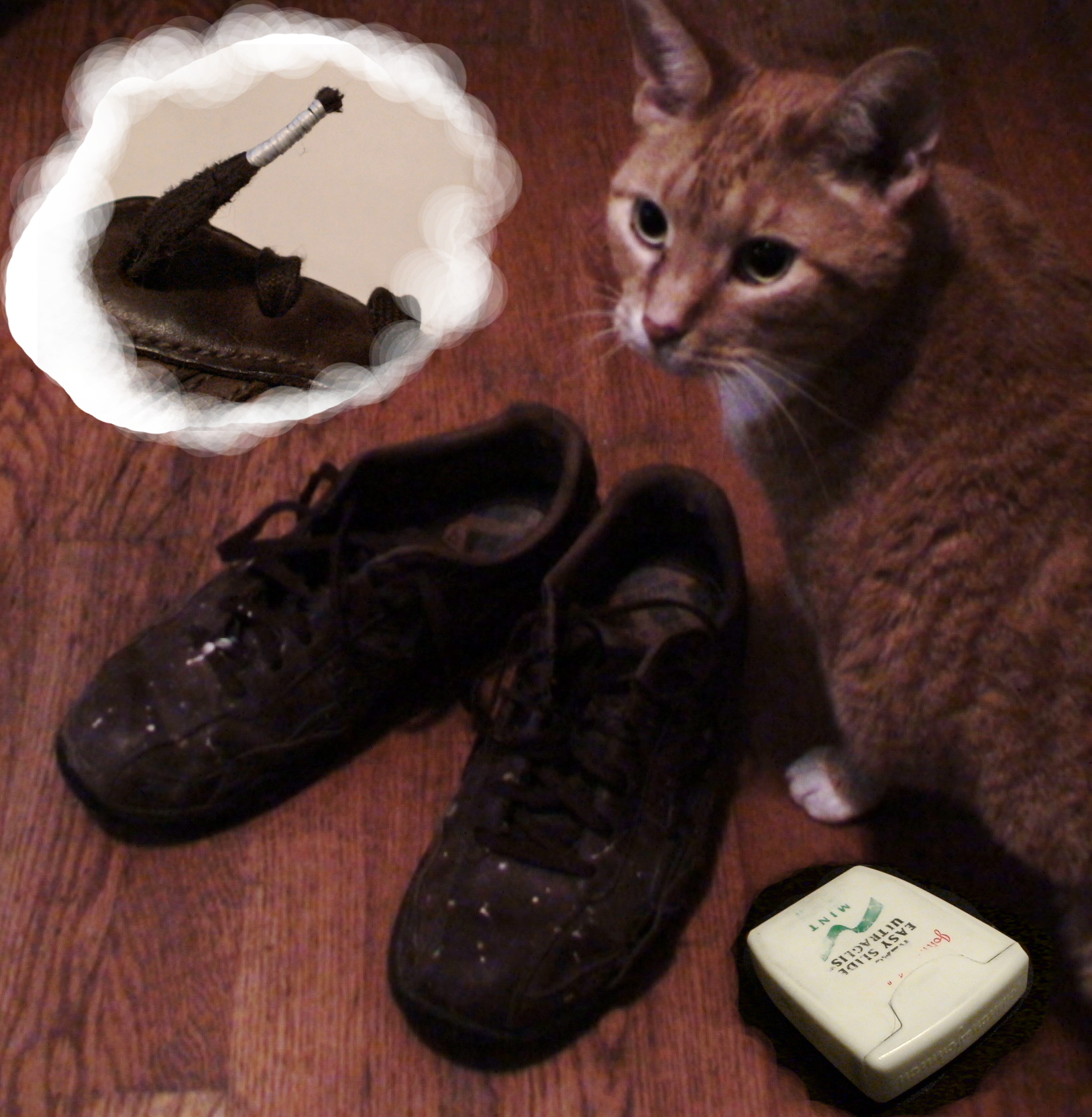 Repairing Your Shoelaces...with Floss!