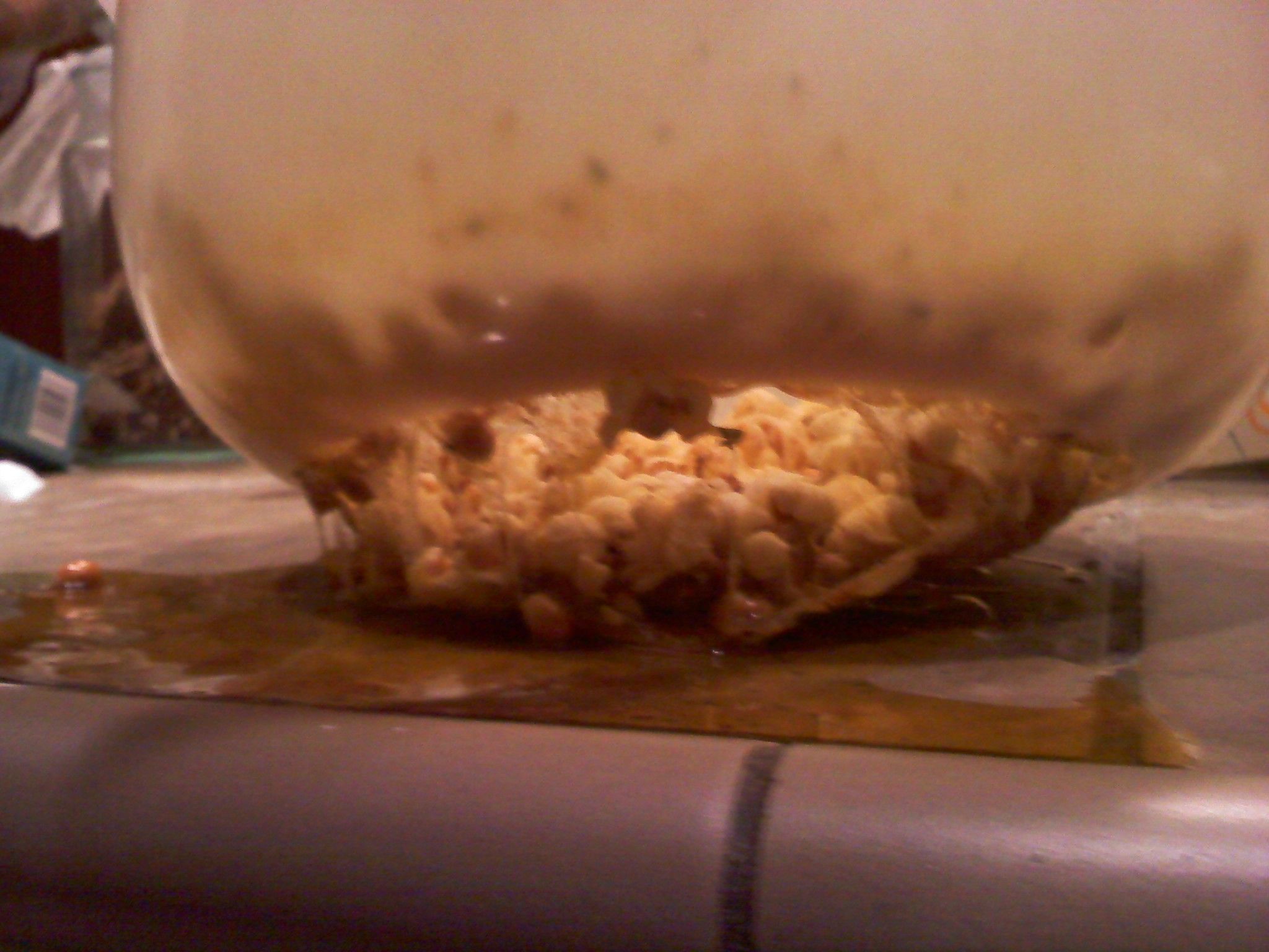 How to Hack Microwave Popcorn 4 Steps Instructables